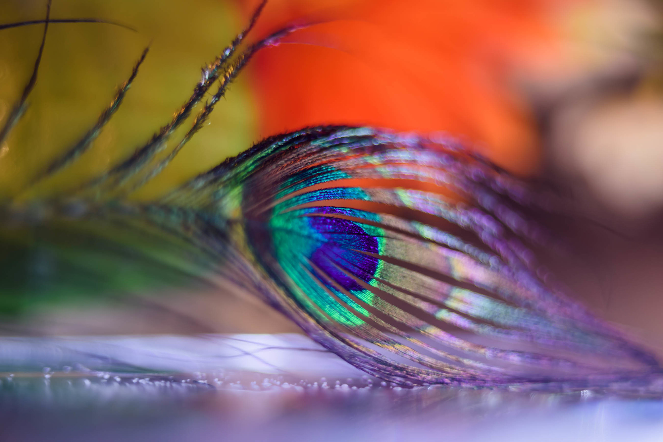 Акварели Гелиоса. Фотограф в Краснодаре и Бишкеке Галина Бокова