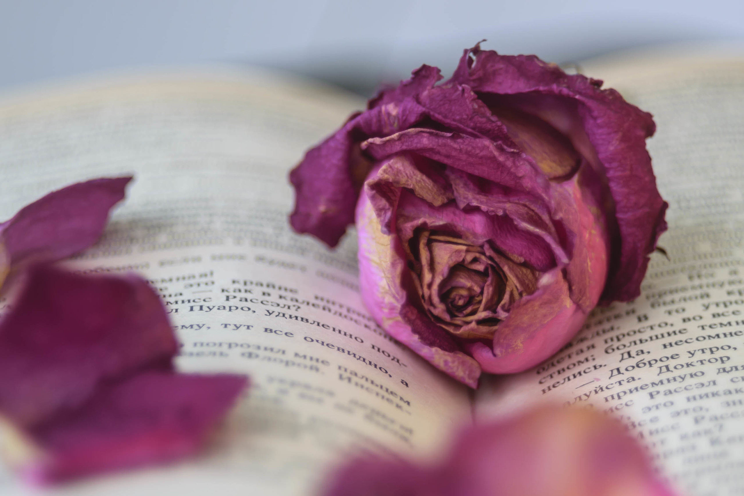 Акварели Гелиоса. Фотограф в Краснодаре и Бишкеке Галина Бокова