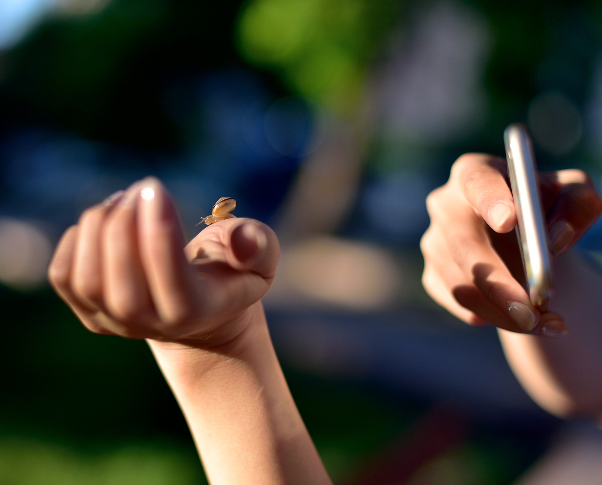 Макро мир фотограф Бокова Галина. Фотограф в Краснодаре и Бишкеке Галина Бокова