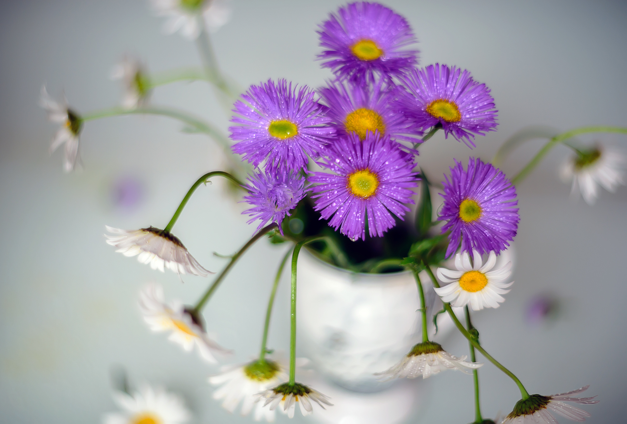 Акварели Гелиоса. Фотограф в Краснодаре и Бишкеке Галина Бокова