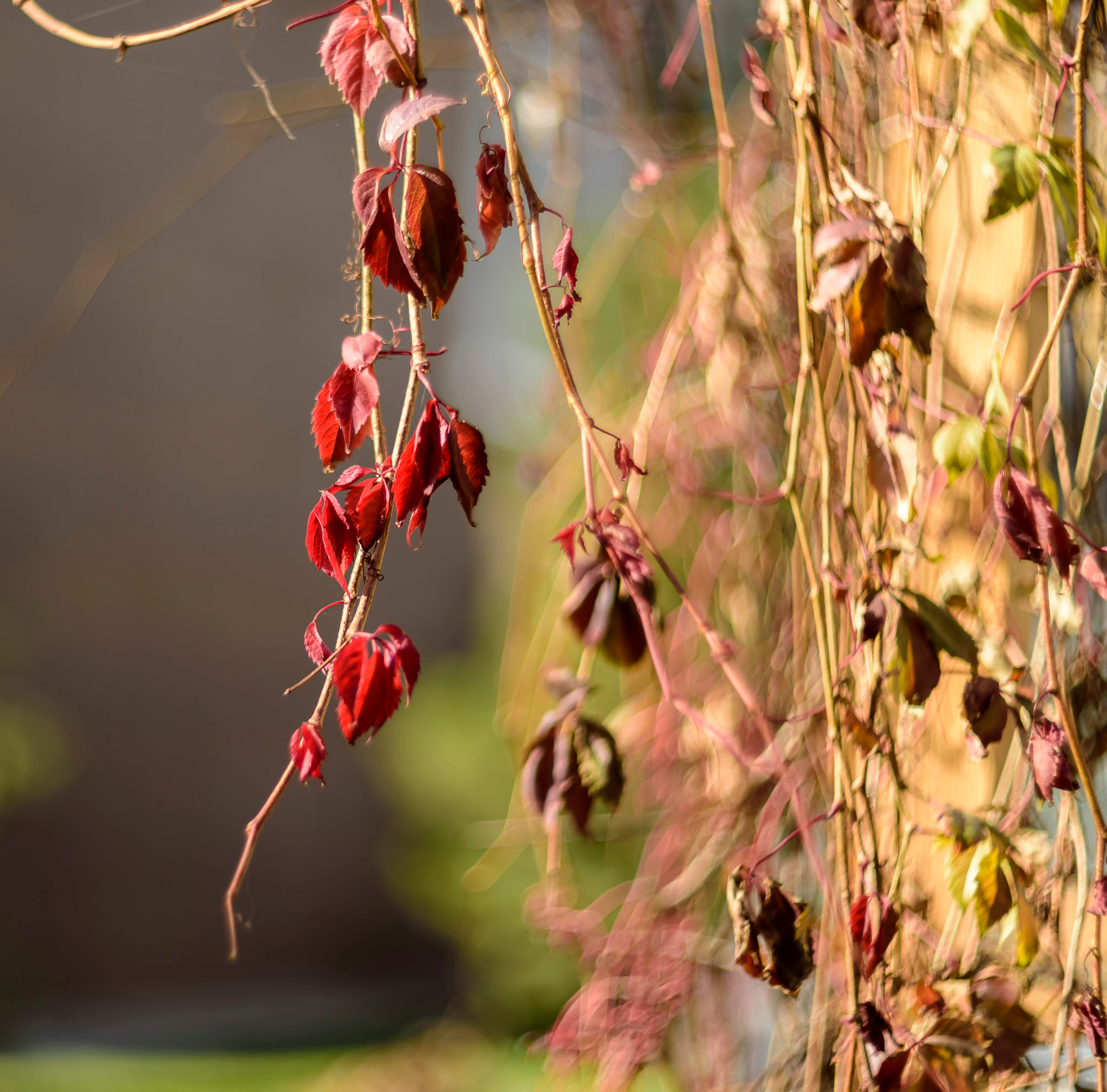 Акварели Гелиоса. Фотограф в Краснодаре и Бишкеке Галина Бокова