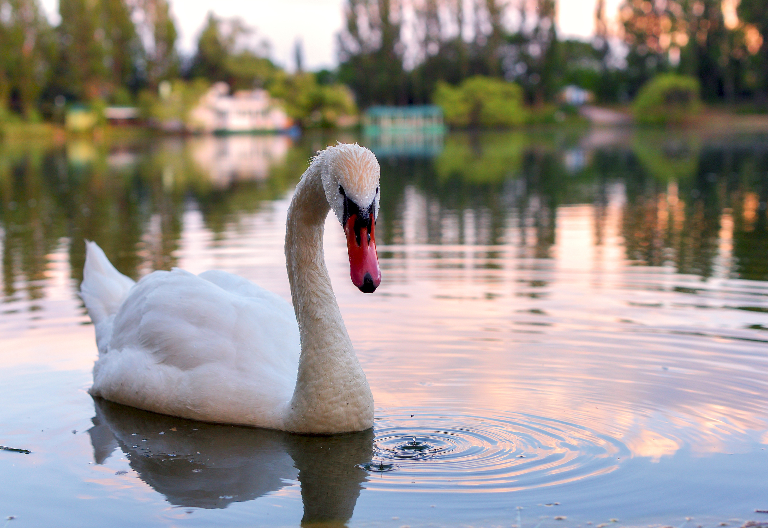 Пейзажи Кыргызстан  фотограф Бокова Галина. Фотограф в Краснодаре и Бишкеке Галина Бокова