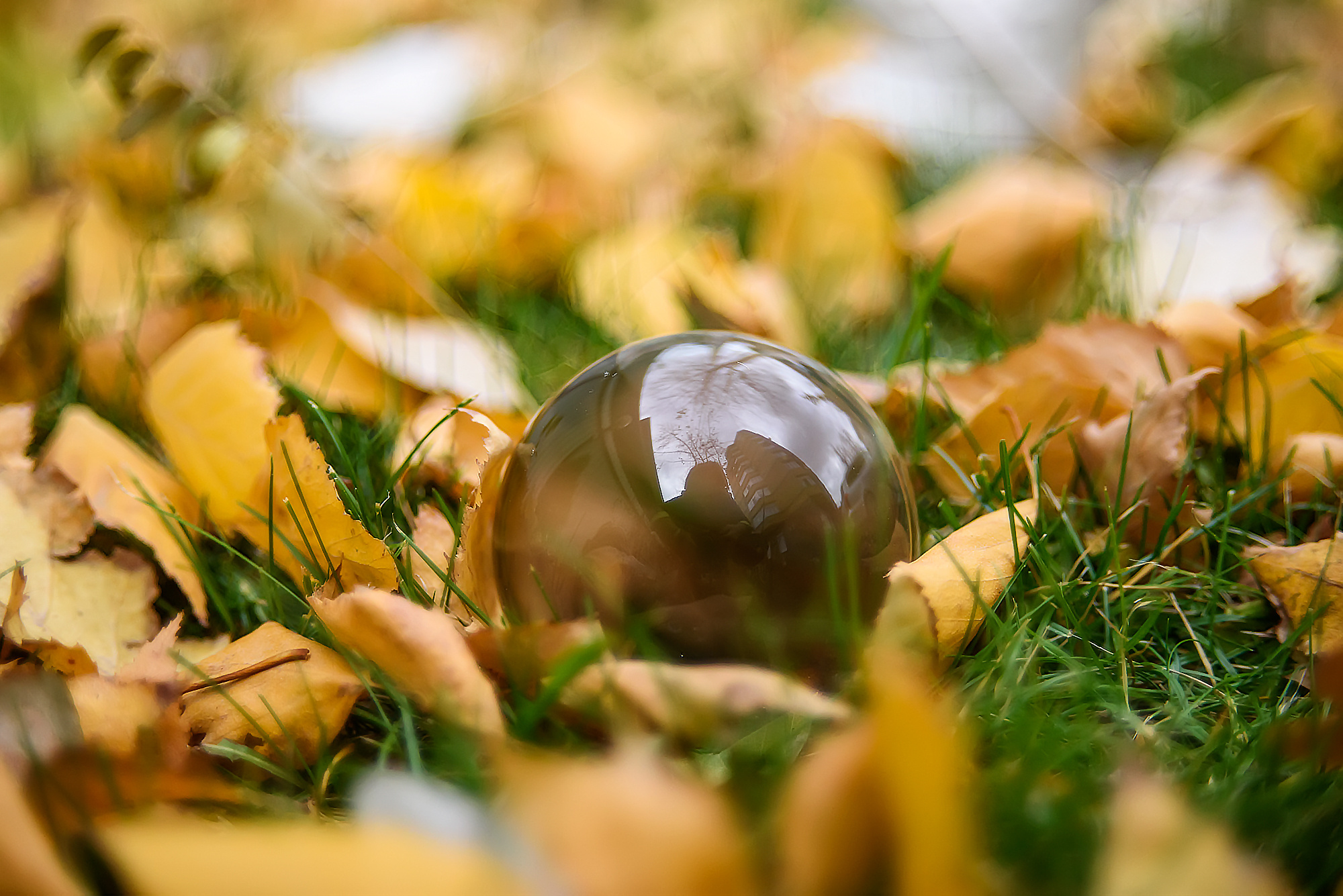 Акварели Гелиоса. Фотограф в Краснодаре и Бишкеке Галина Бокова