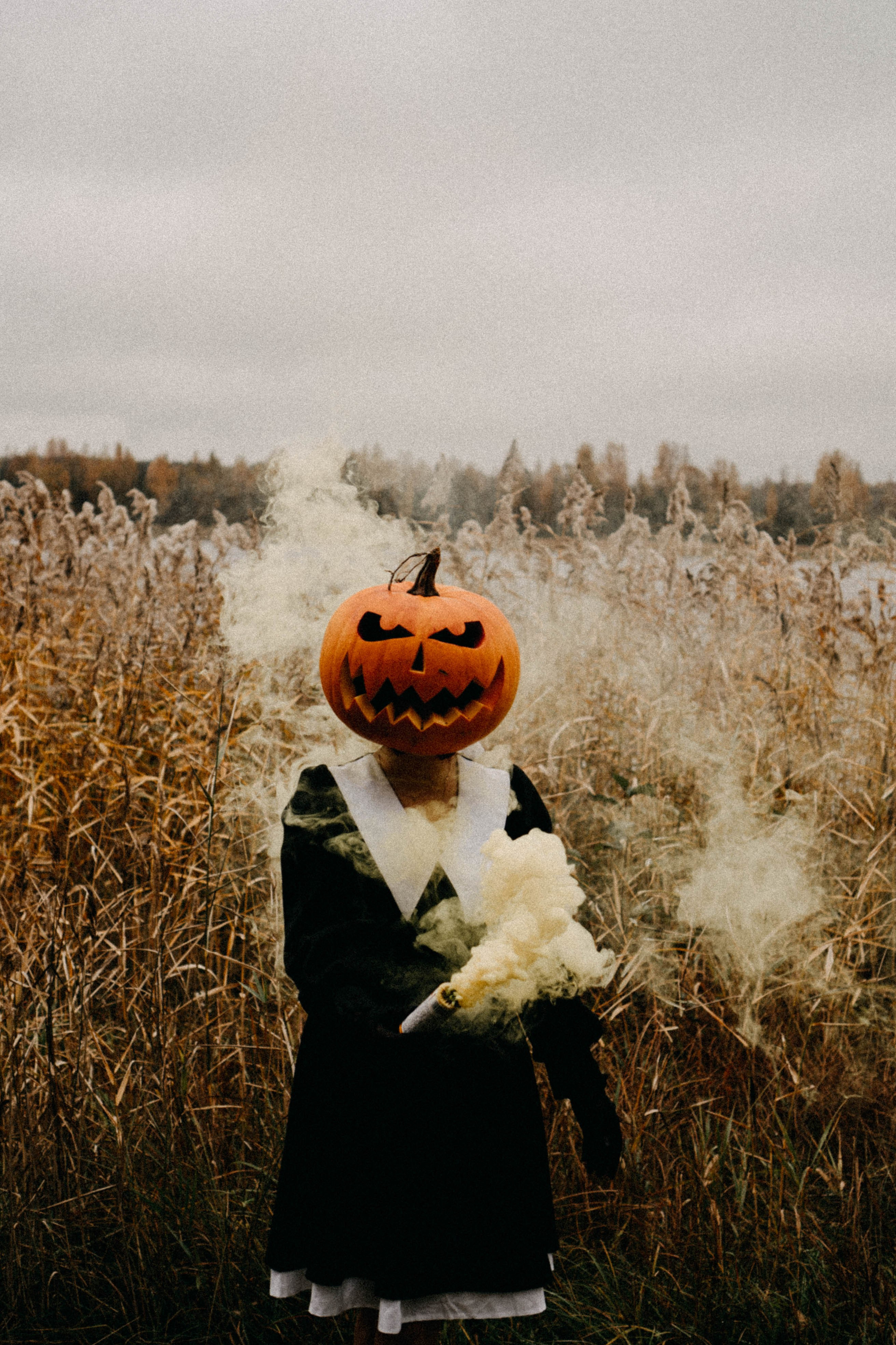 Осеняя. Профессиональный фотограф, Санкт-Петербург — Виктория Богомолова