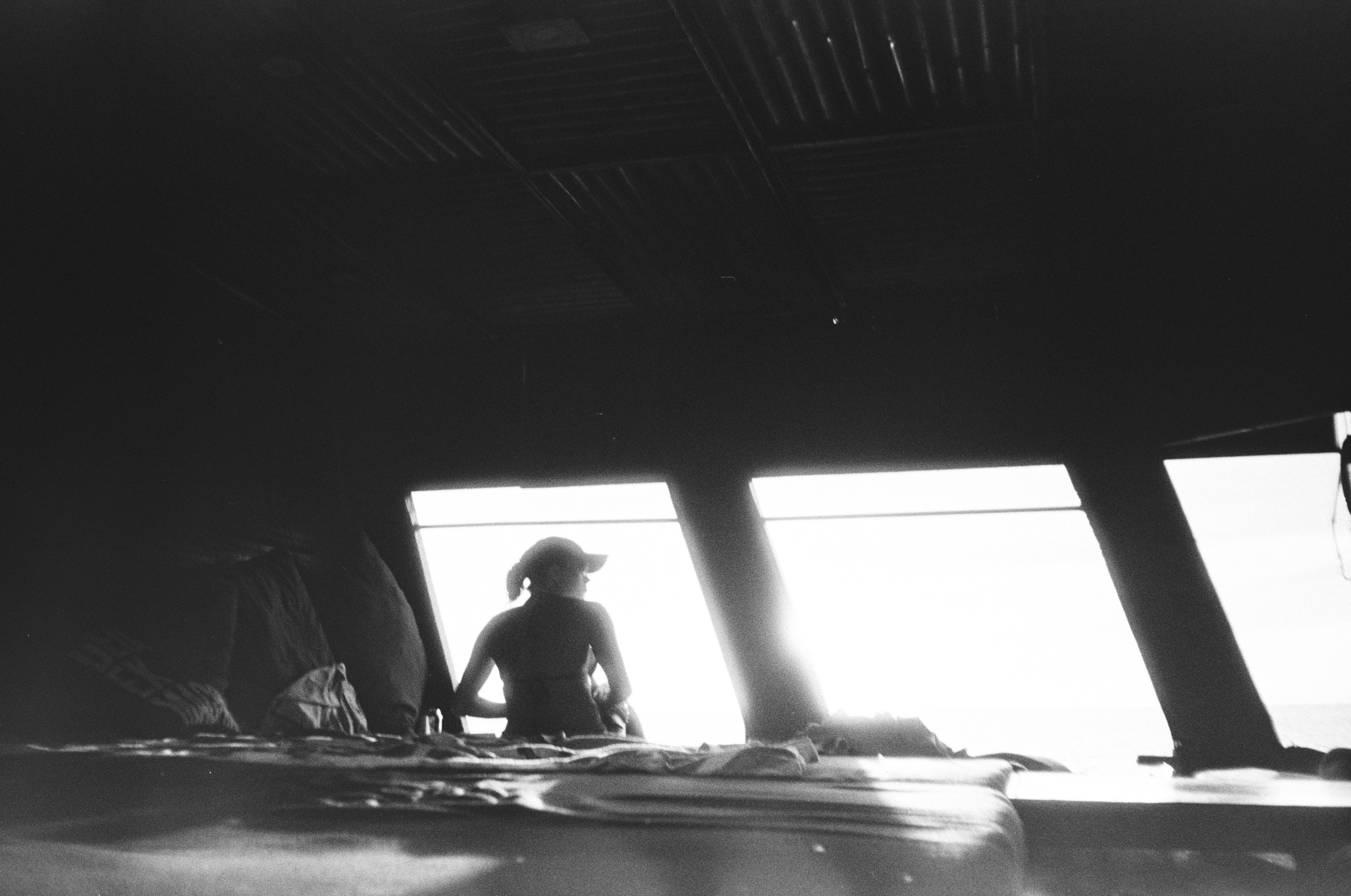 Виолетта Скрипка