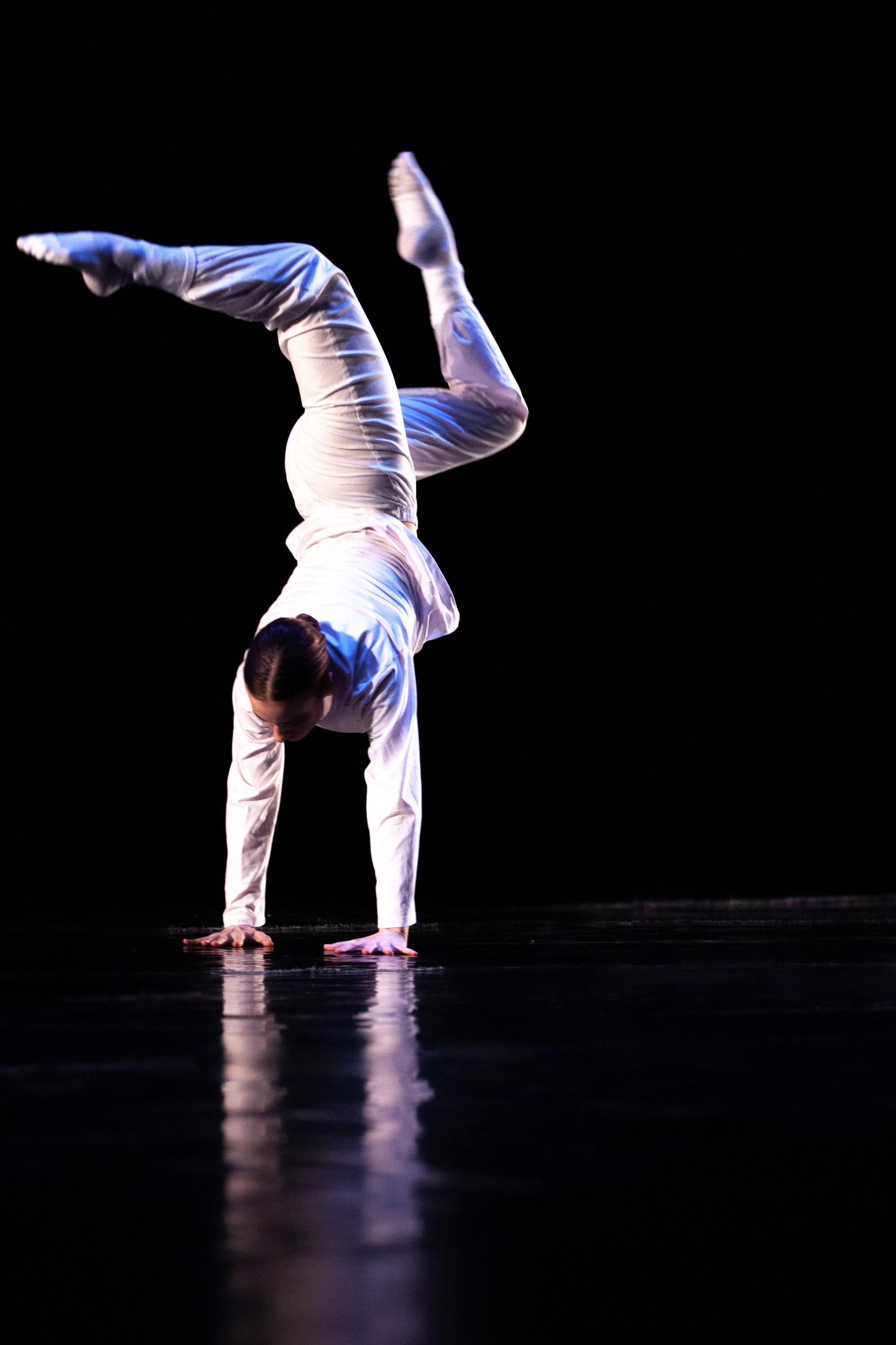 Концерты. Виолетта Скрипка