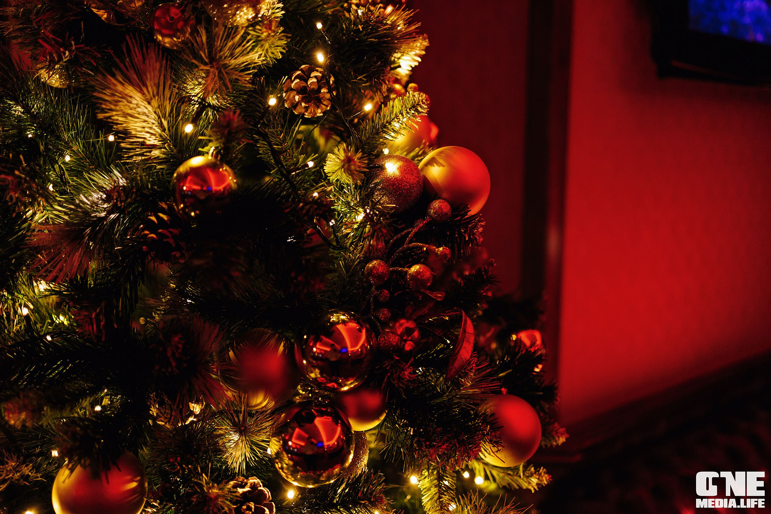 Фоторепортаж из Планеты. One Media Life: фоторепортажи, фотоотчеты с мероприятий и заведений