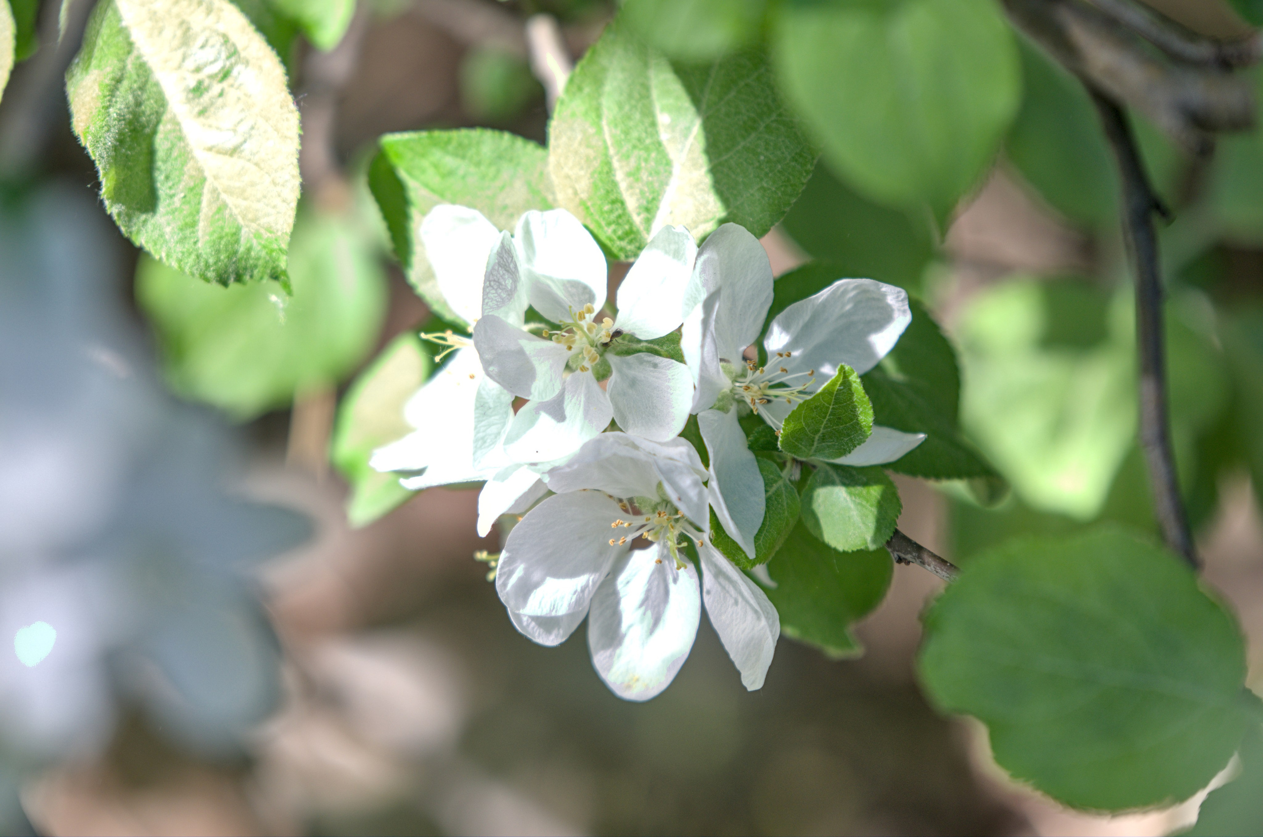 Природа. Фото детских спортивных мероприятий и всякое интересное через объектив