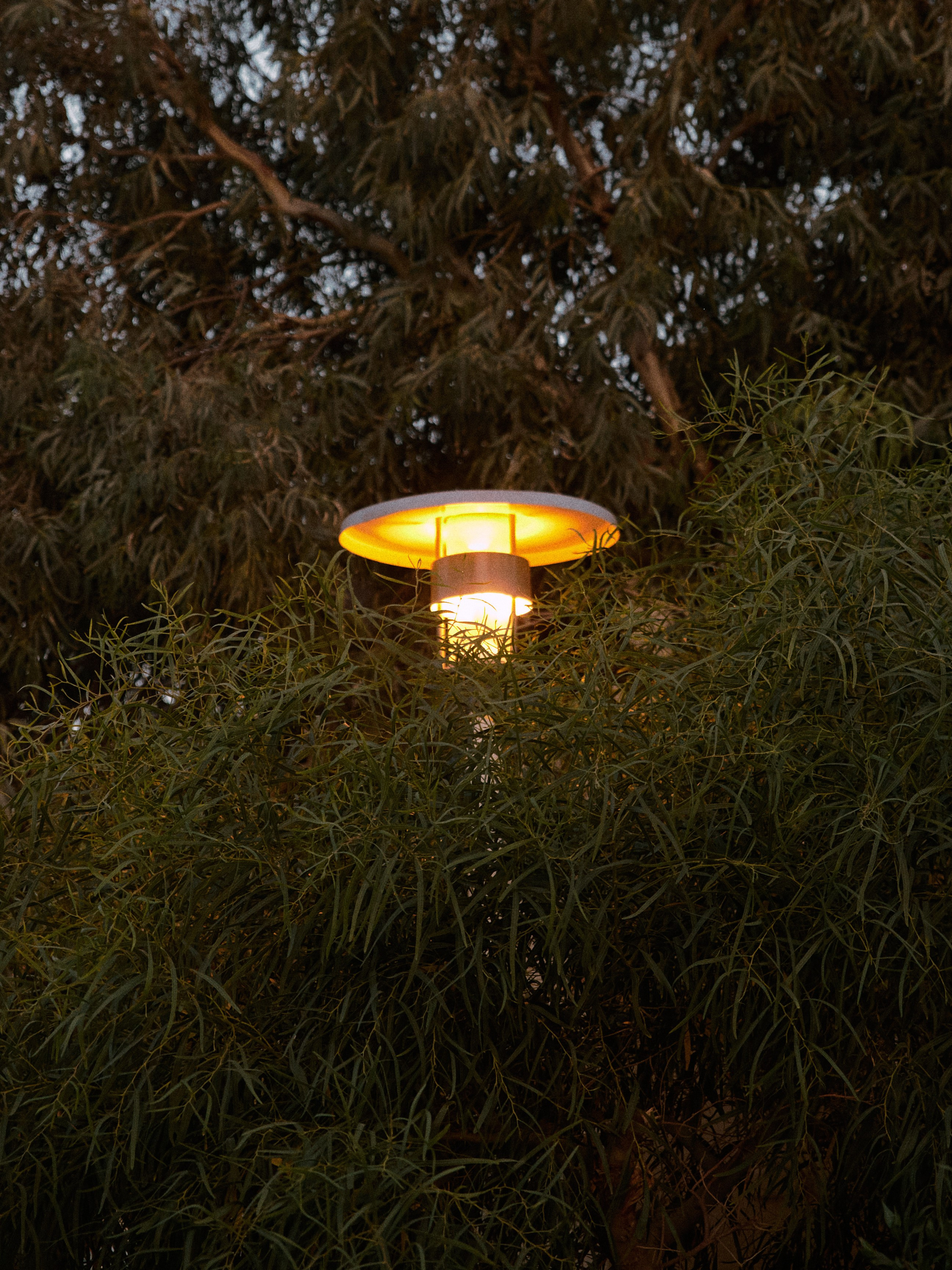 Природа сквозь. Jorgis Talè — photographer, kind person, teacher of arts and other mag