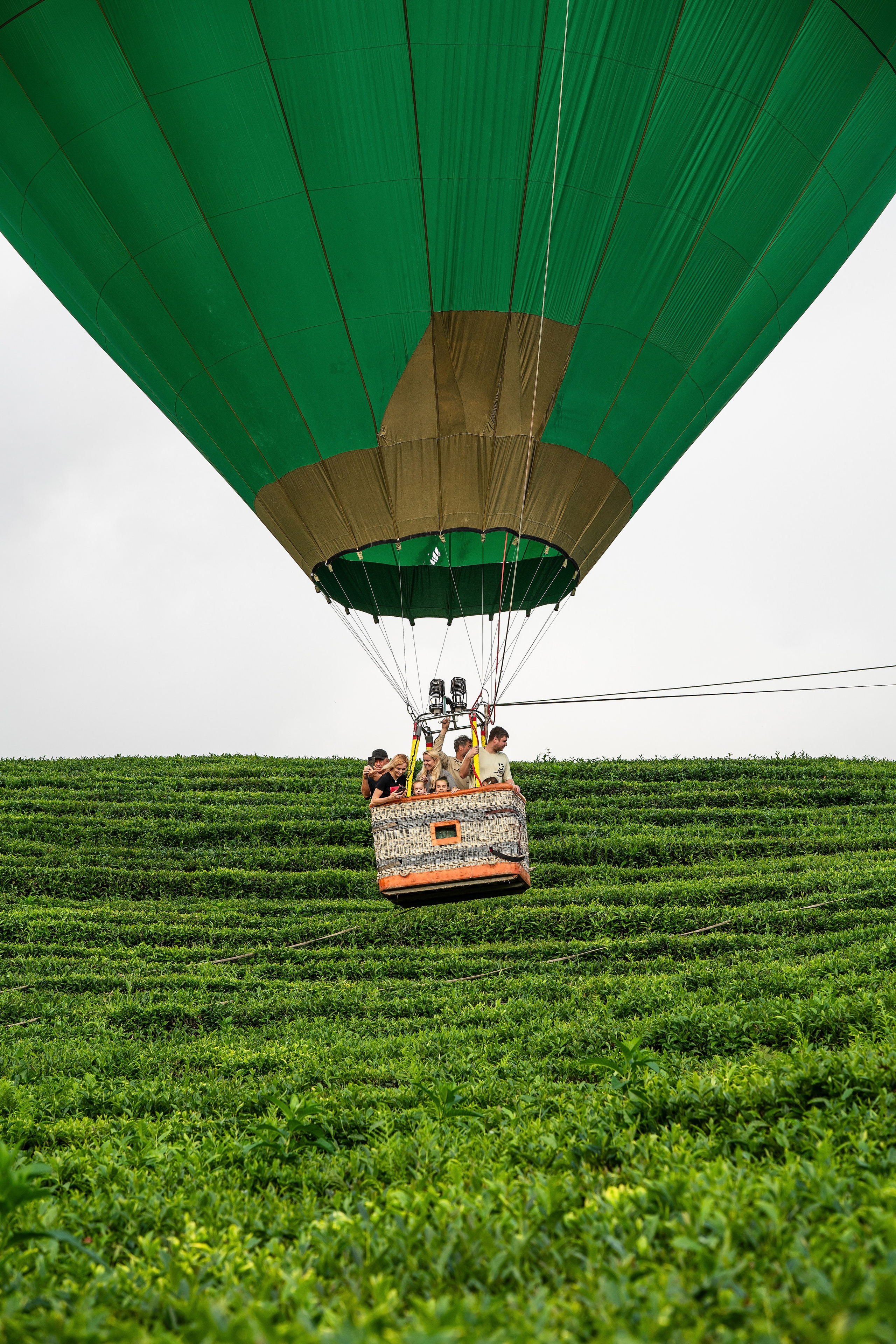 Фотограф на праздник Сочи. Фотограф Сочи