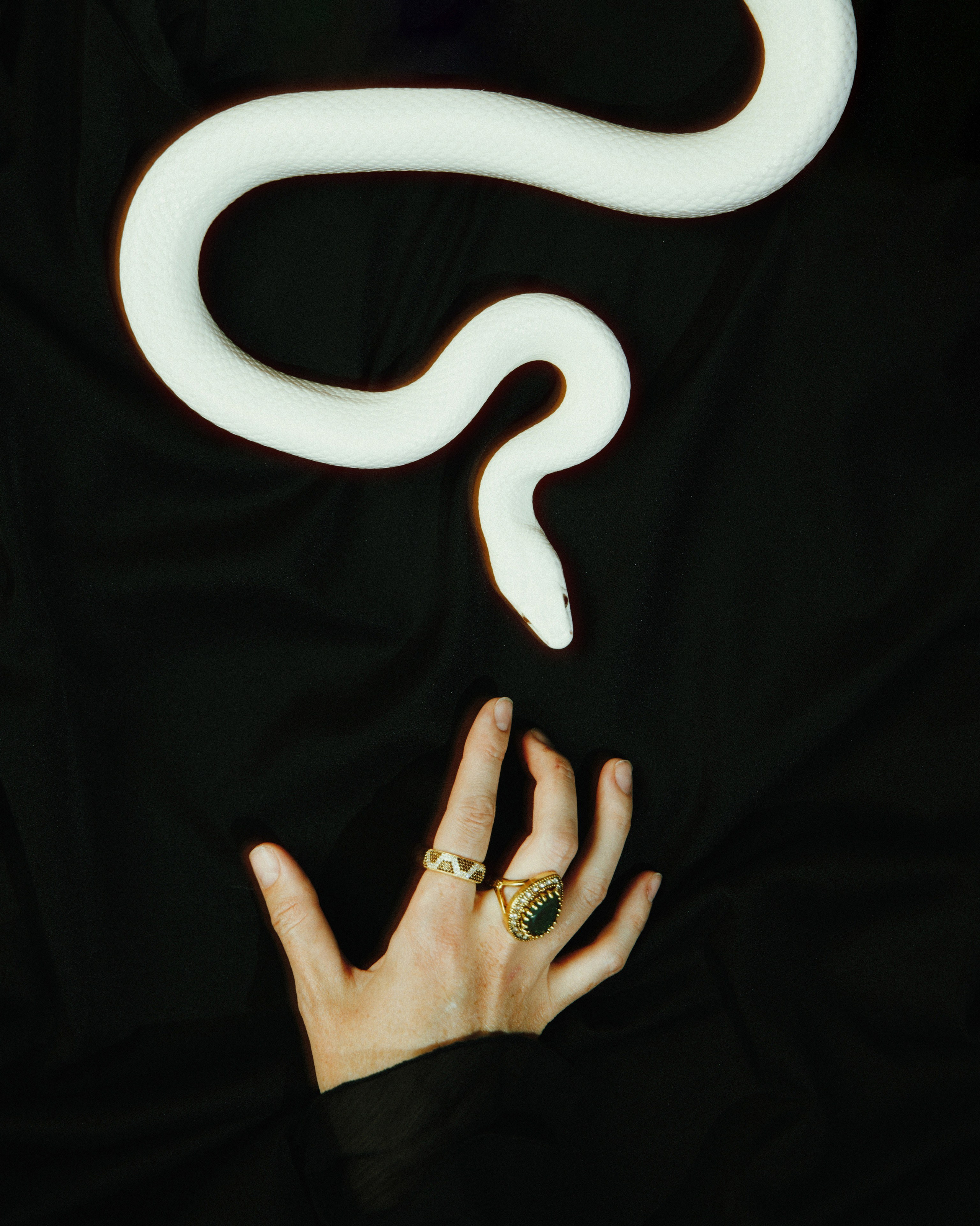 Портрет Медузы Горгоны. Commercial photographer | Anton Ermakov