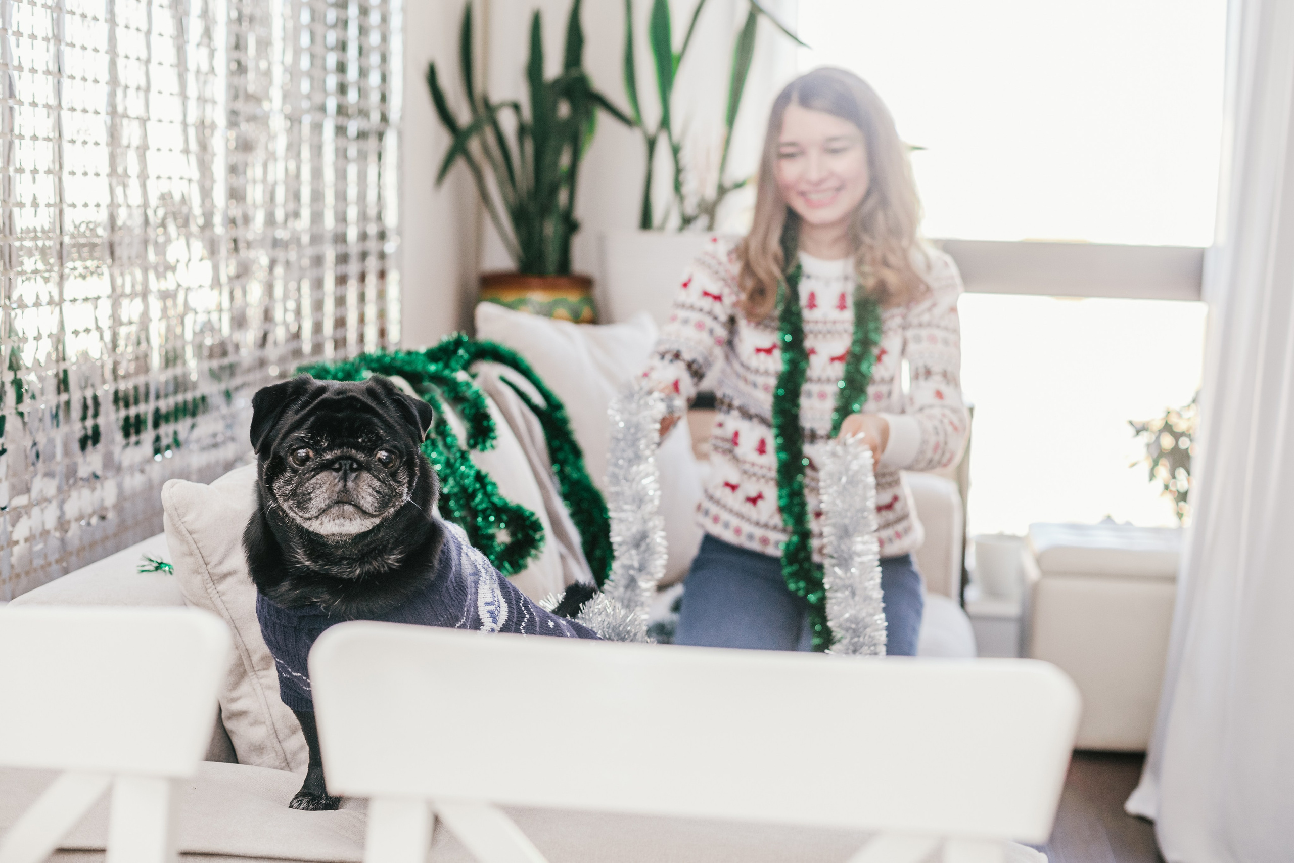 Домашняя фотосессия Оли и двух ее мопсов. Фотограф-анималист Татьяна Степанова