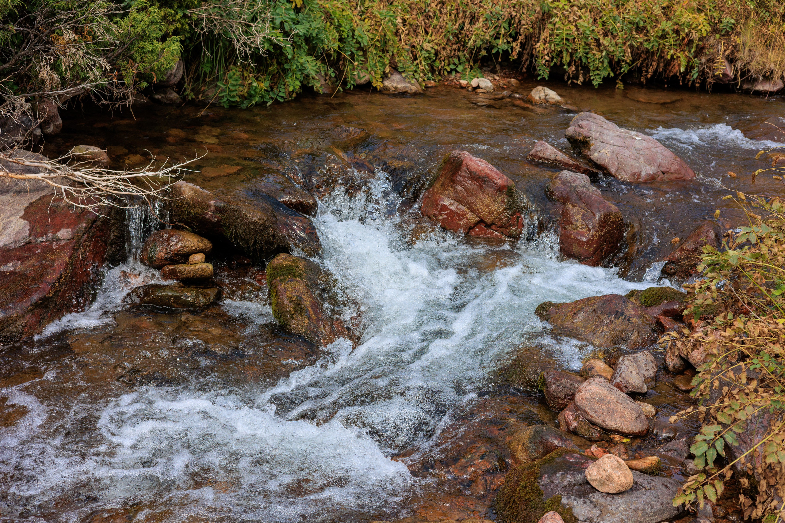 Поездка на плато Ассы и за пределами. Экскурсии и туры по Алматы