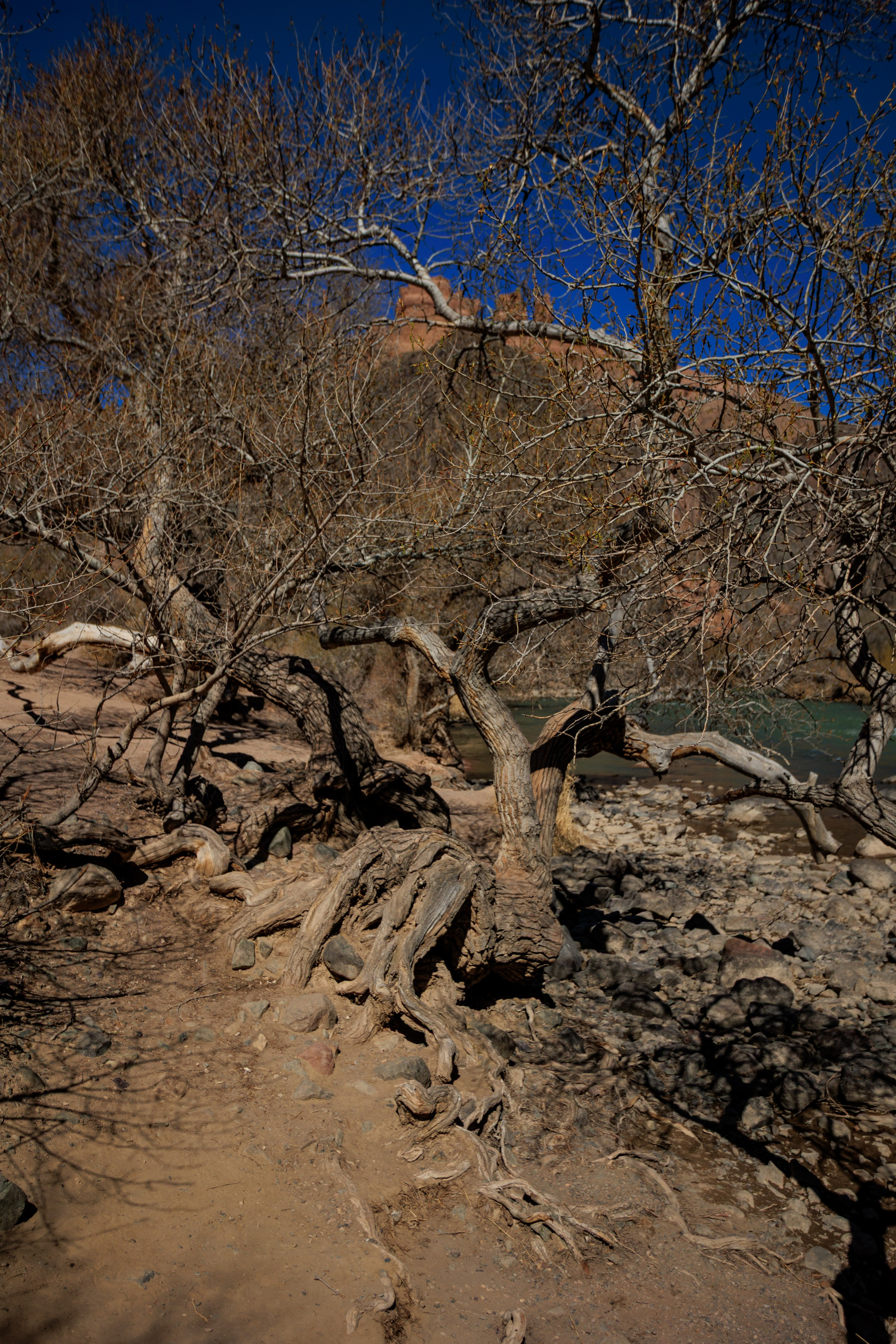 Незабываемое 4 апреля. Экскурсии и туры по Алматы