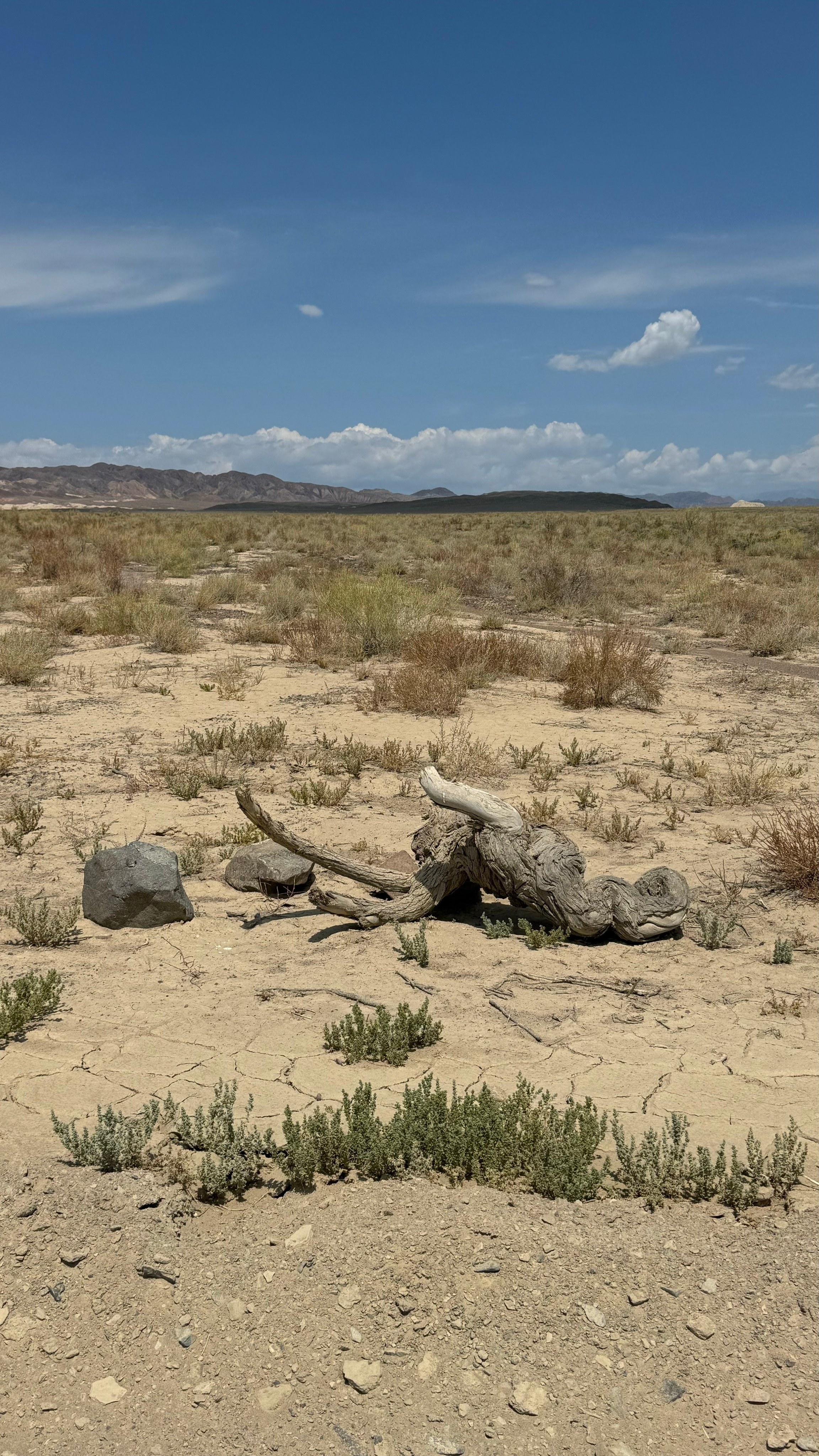 Отзывы. Экскурсии и туры по Алматы