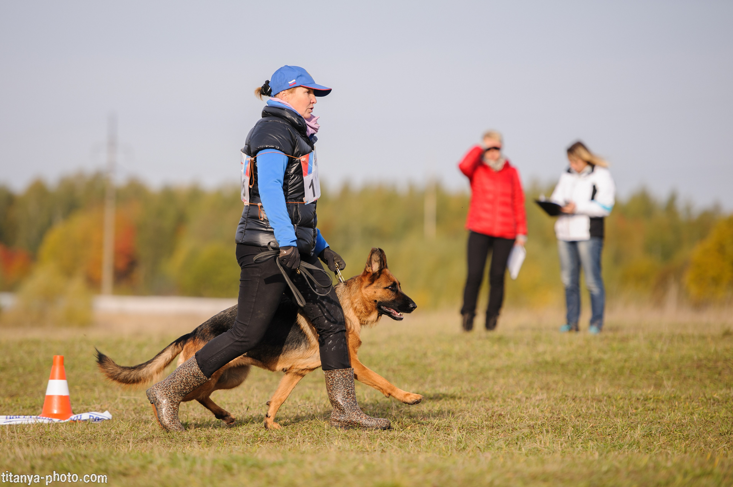 Фотографии с монопородных выставок немецких овчарок. Фотограф собак, фотограф-анималист Аня Титова (Titanya). Москва