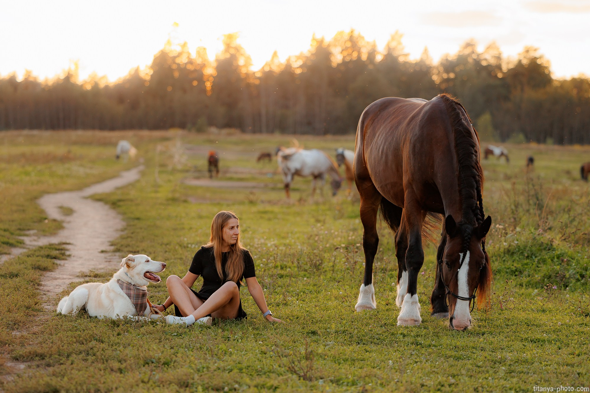 Закатная семейная фотосессия: про Настю и её дружную семью. Фотограф собак, фотограф-анималист Аня Титова (Titanya). Москва