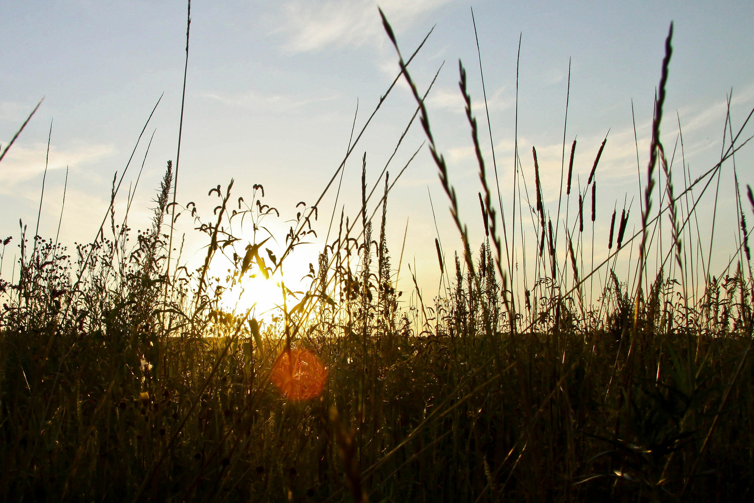 Природа. Команда фотографов Кристины Ивановой