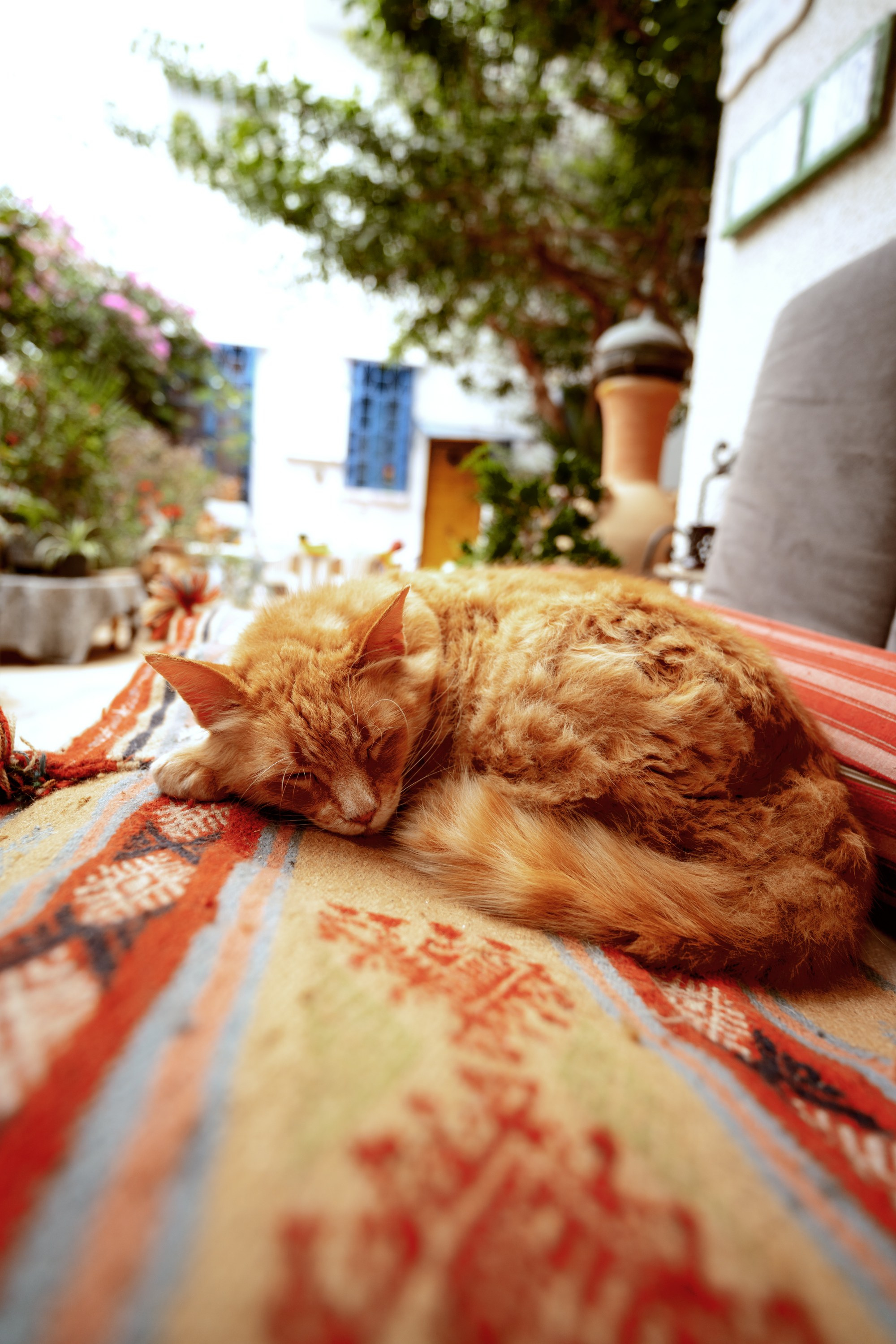 Северная Африка: Тунис, Марокко. Фотограф в Хабаровске. Фотография за 24 часа