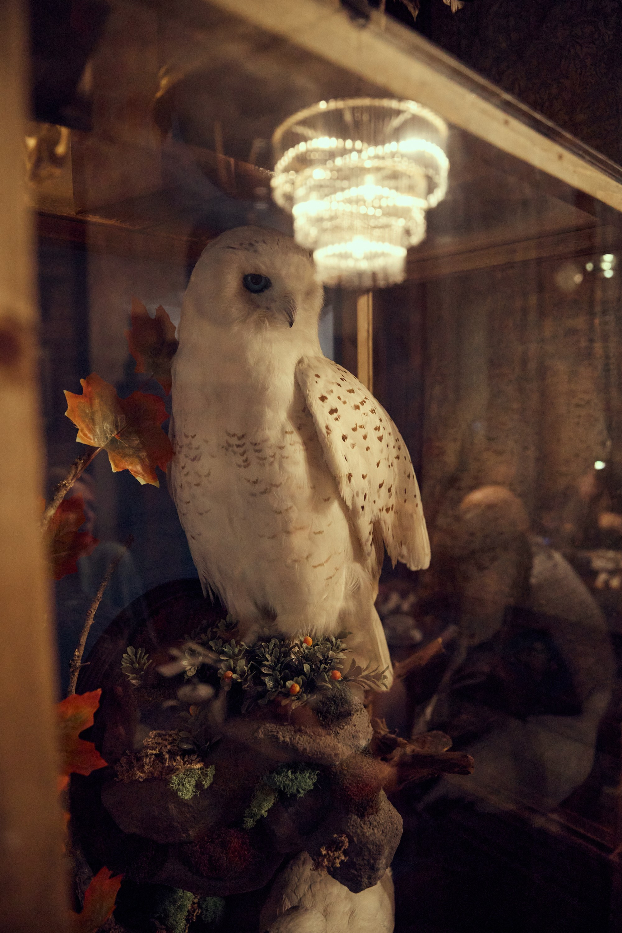 Презентация напитков от SimpleWine. Контентный и репортажный фотограф Виталий Кулешов | Москва