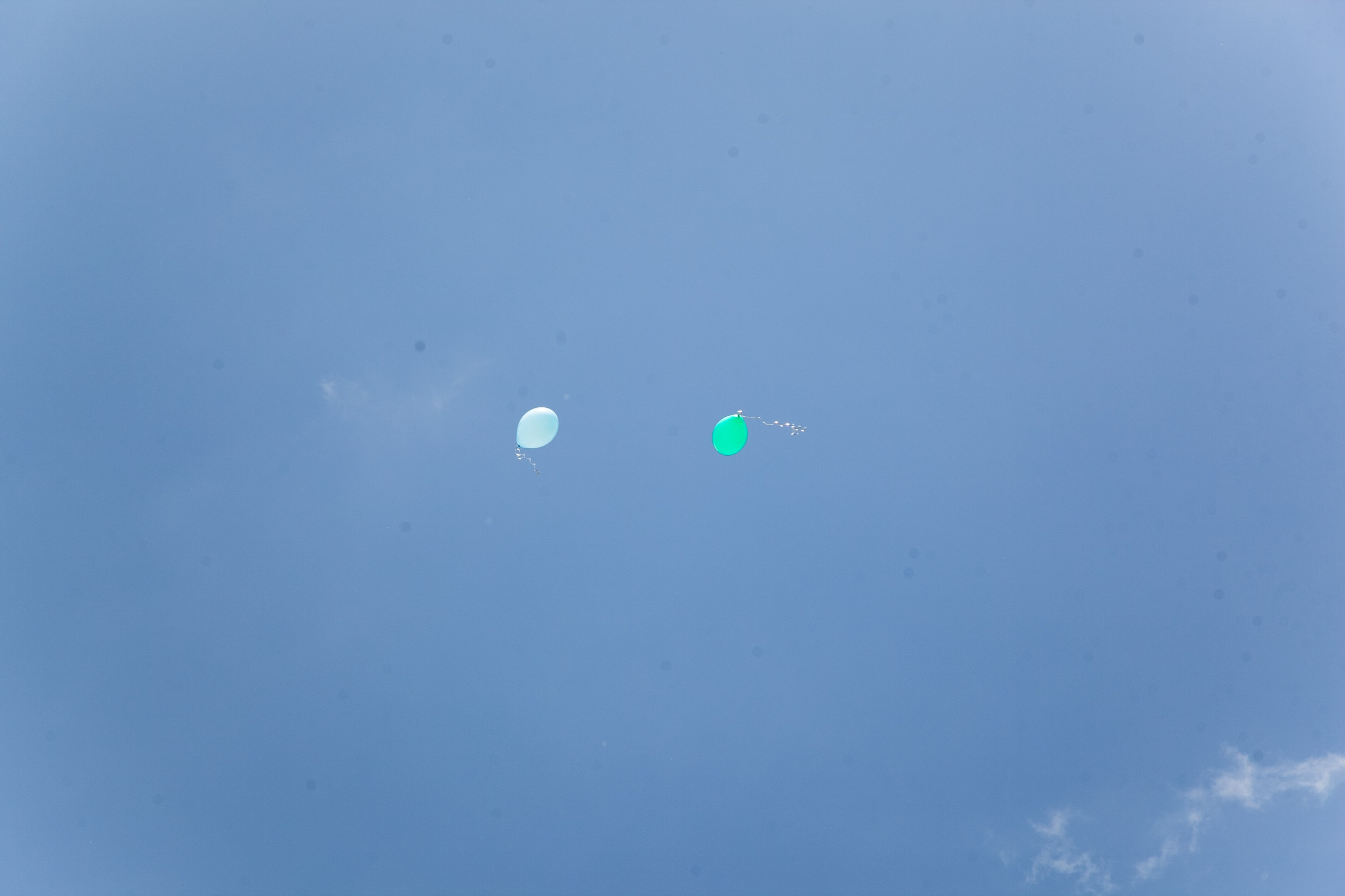 Выпускной 9 класса. Фотограф Перминов Никита СПБ