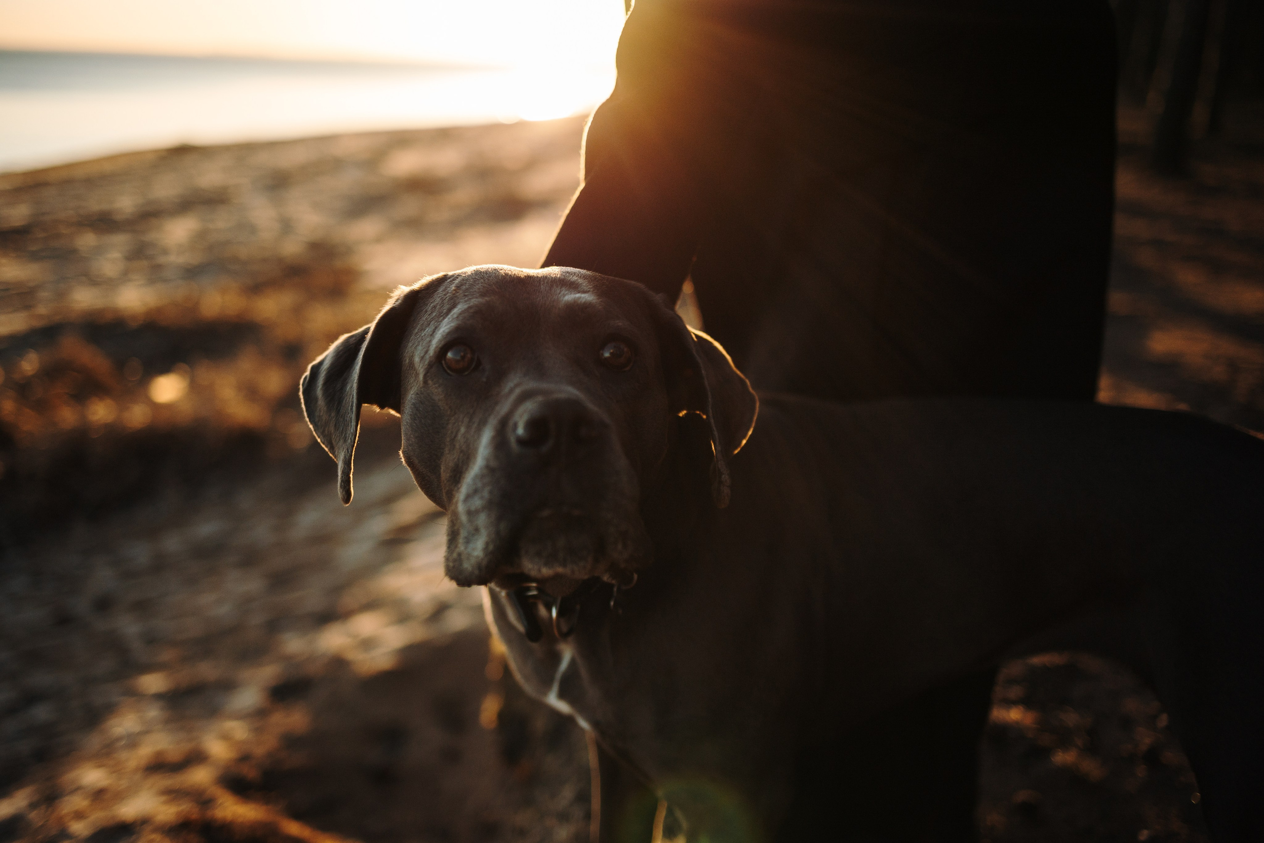 Анна и Лана. Фотограф — Анималист | Санкт-Петербург