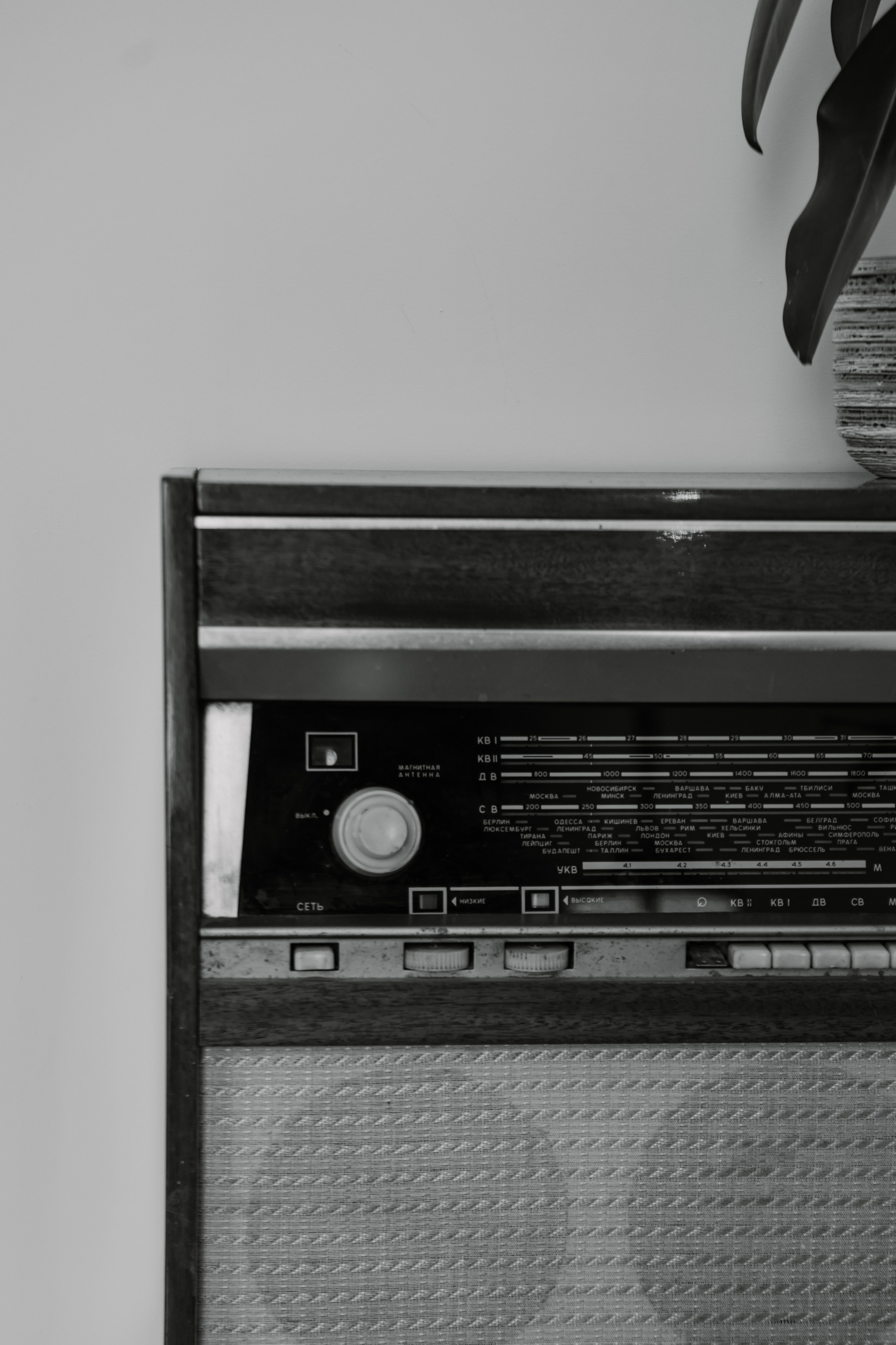 Зал ПЕТЕРБУРГ