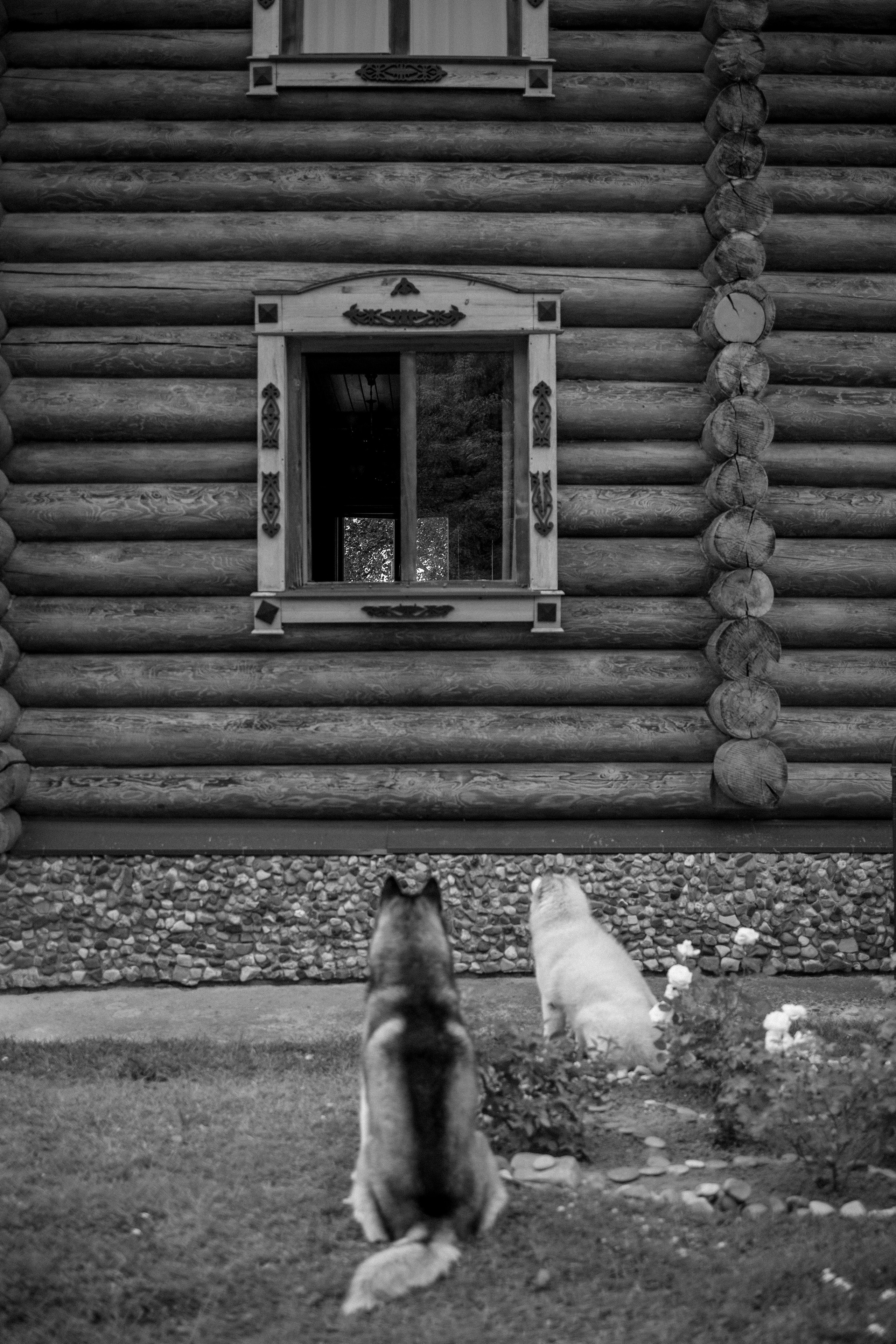 Дом у реки. Фотограф — Анималист | Санкт-Петербург