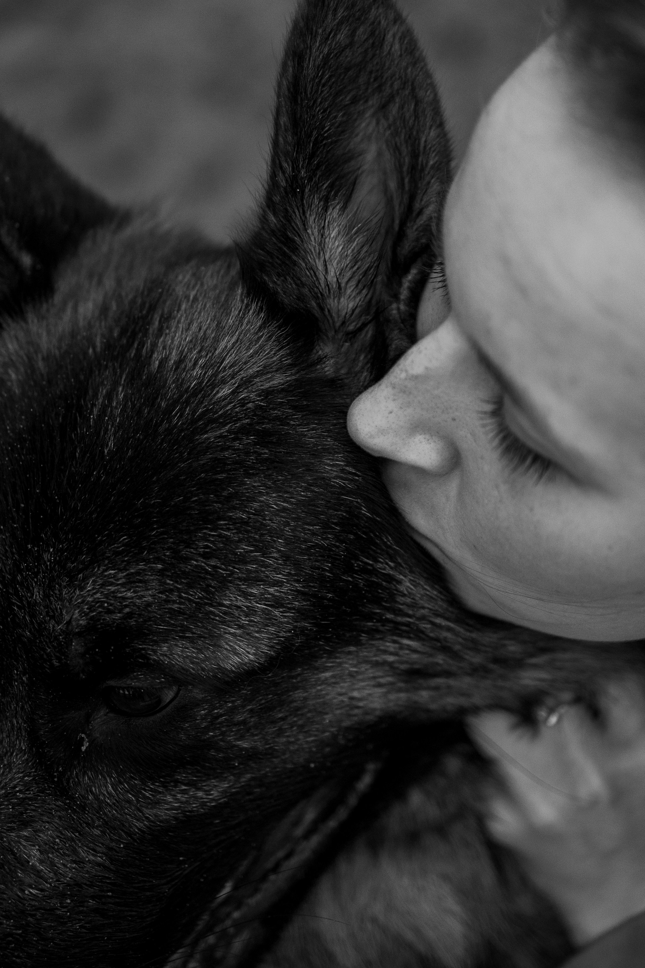 Катя и Агат. Фотограф — Анималист | Санкт-Петербург