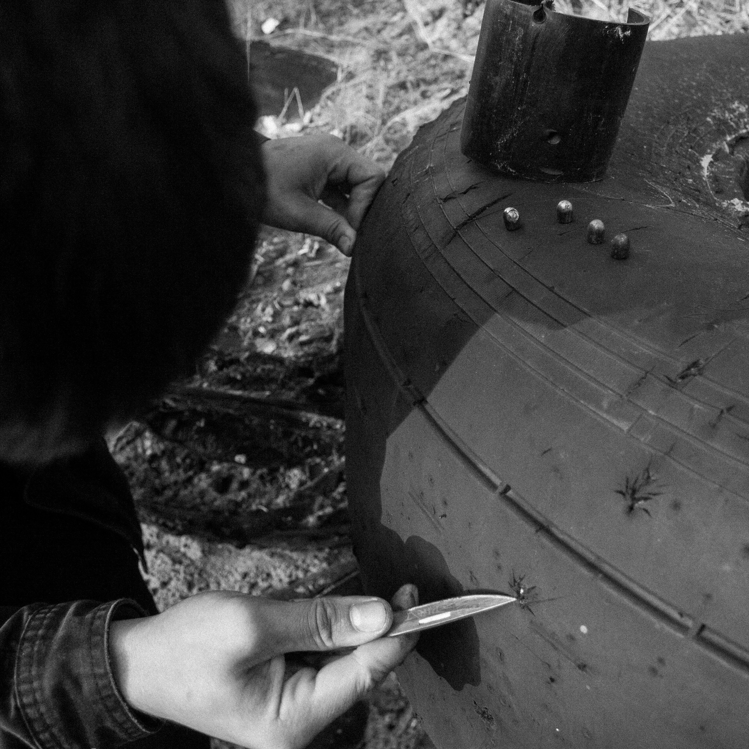 Полигон, 2019