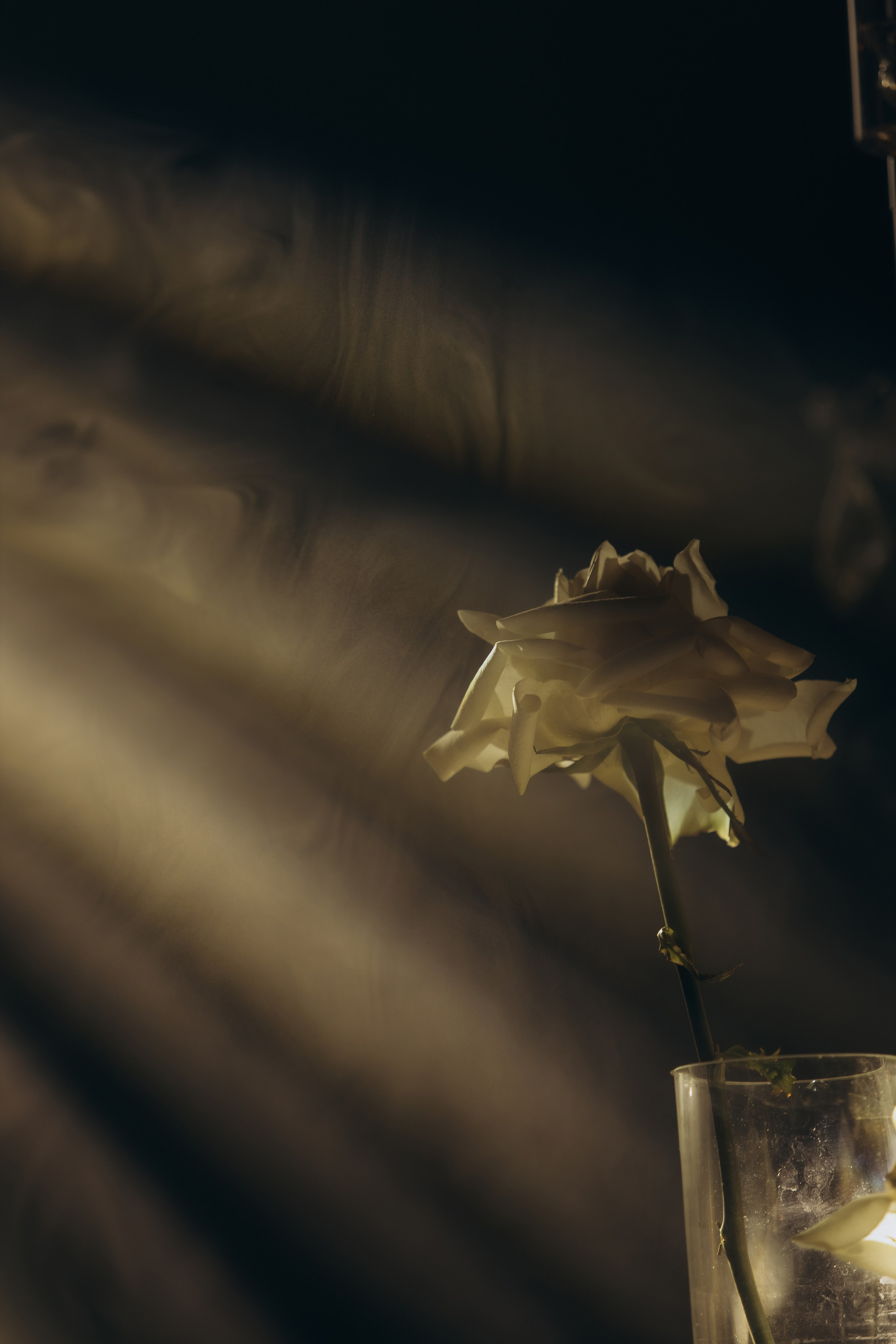 Вторая весная. Свадебный фотограф в Краснодаре Татьяна Гура