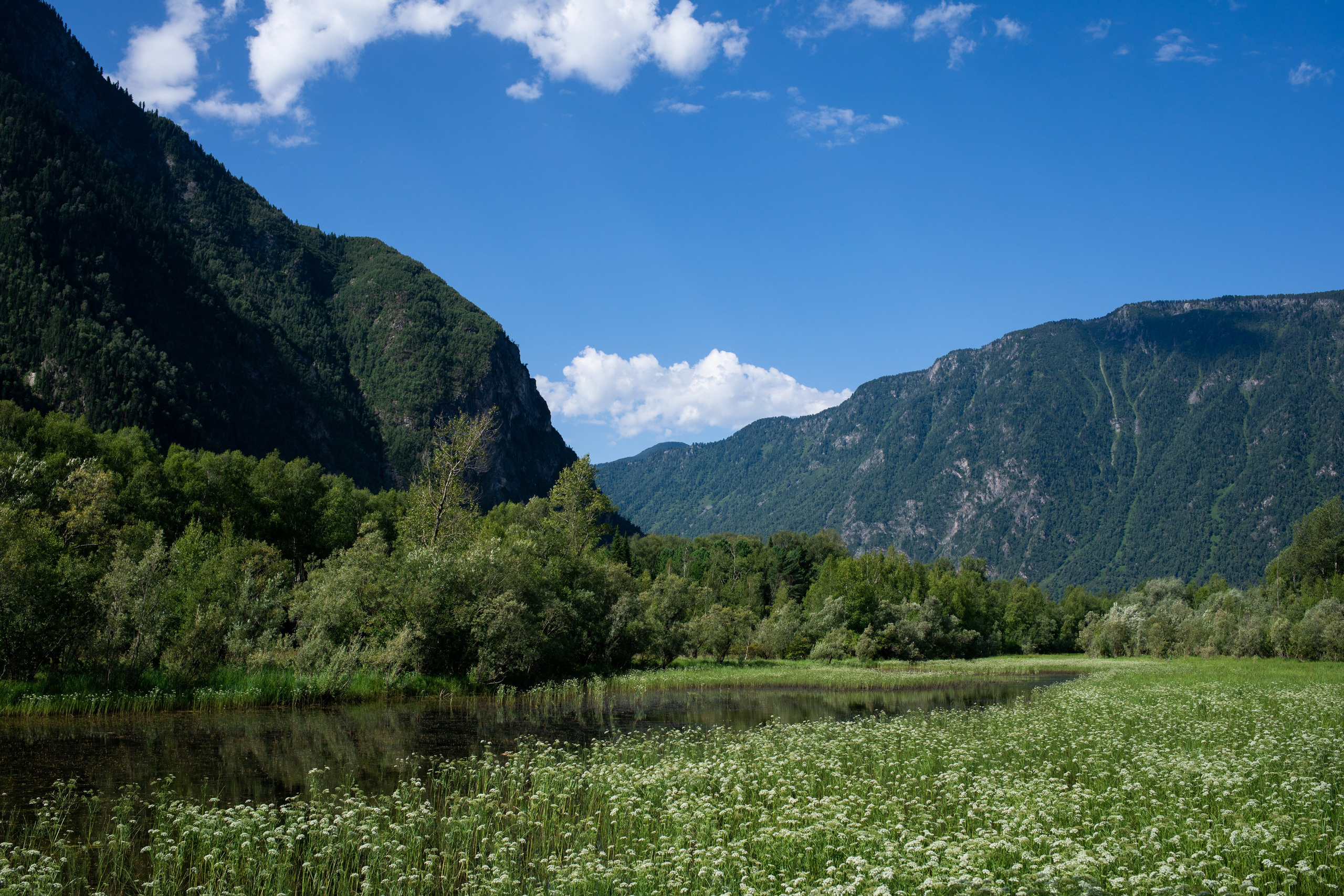 Altai. Yulia Tsyganova
