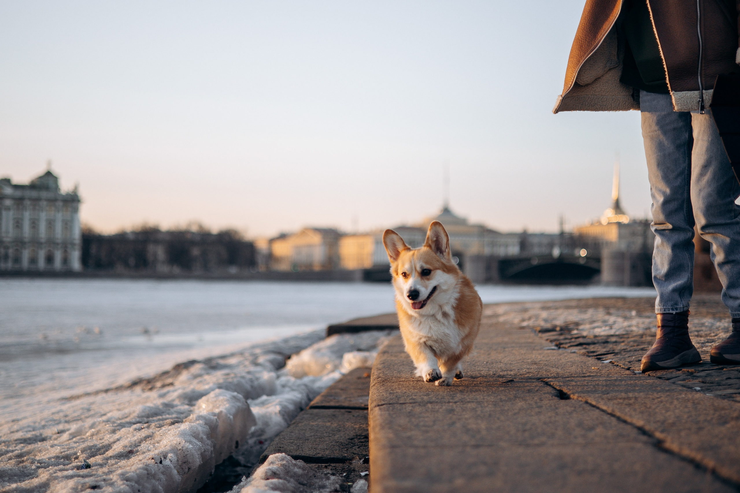 Настя и Ева. Фотограф — Анималист | Санкт-Петербург