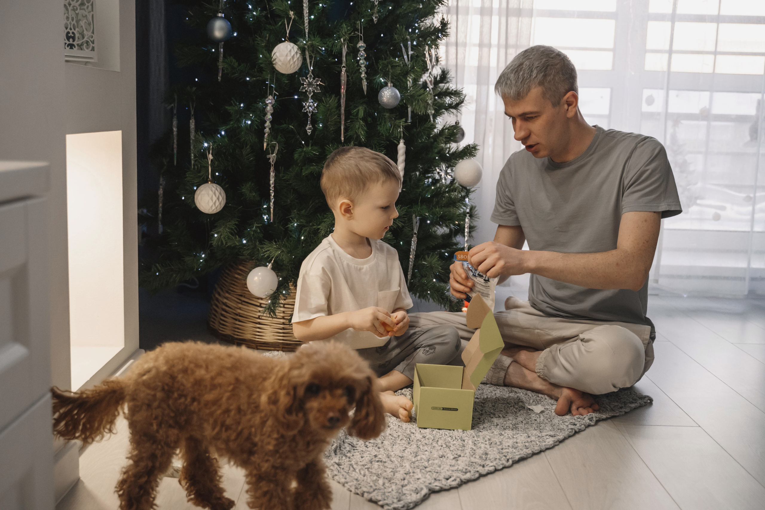 Предновогодний вечер. Главная