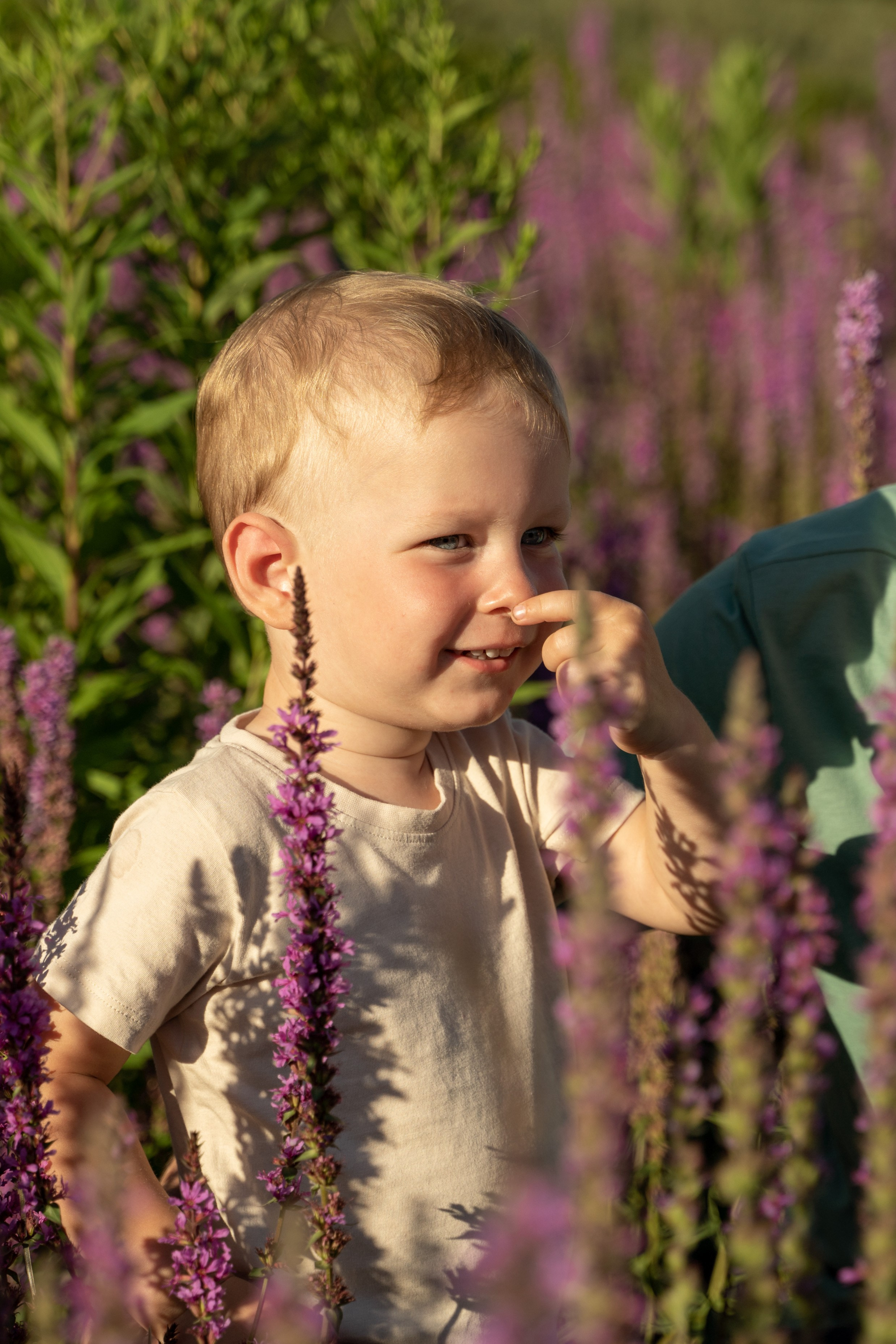 Семейная прогулка. Главная