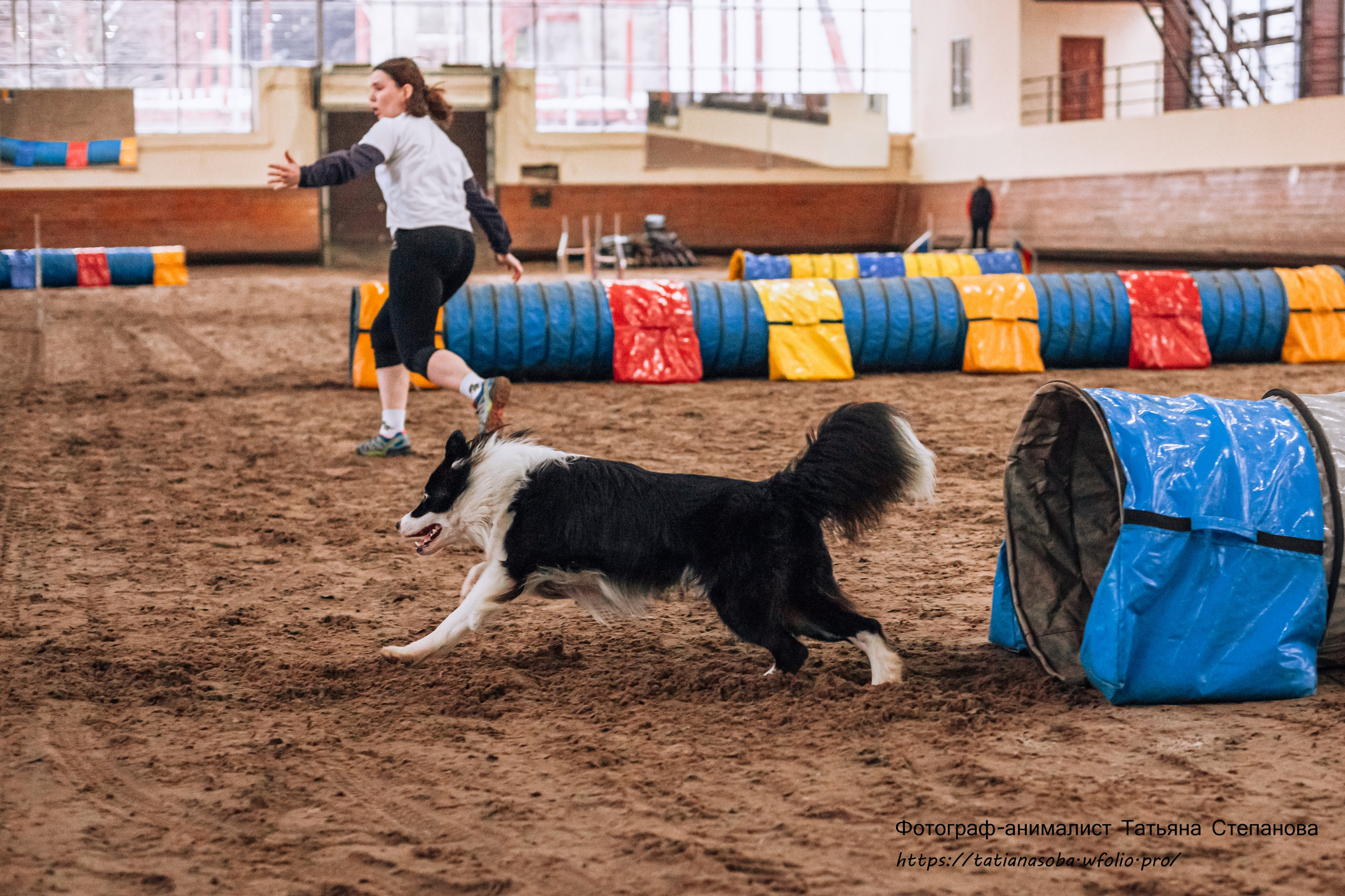 Соревнования по Аджилити 25.02.2024. Фотограф-анималист Татьяна Степанова