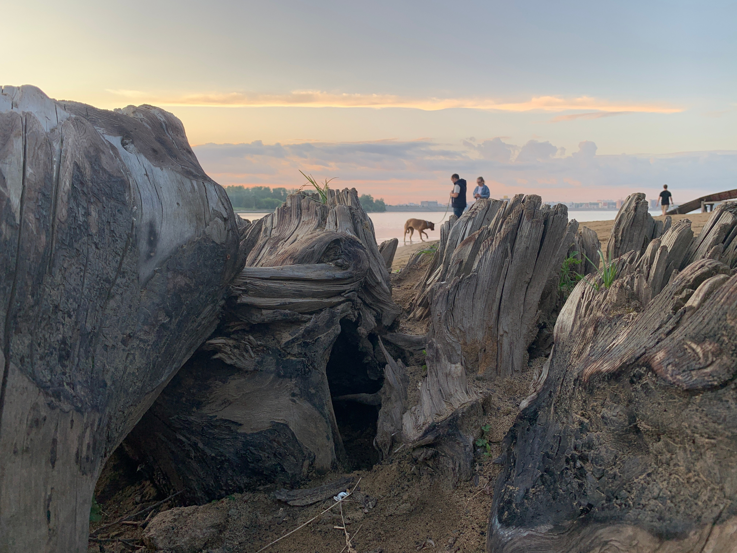 2022. Тащилин Сергей. Фотографии. Жизнь. Хобби