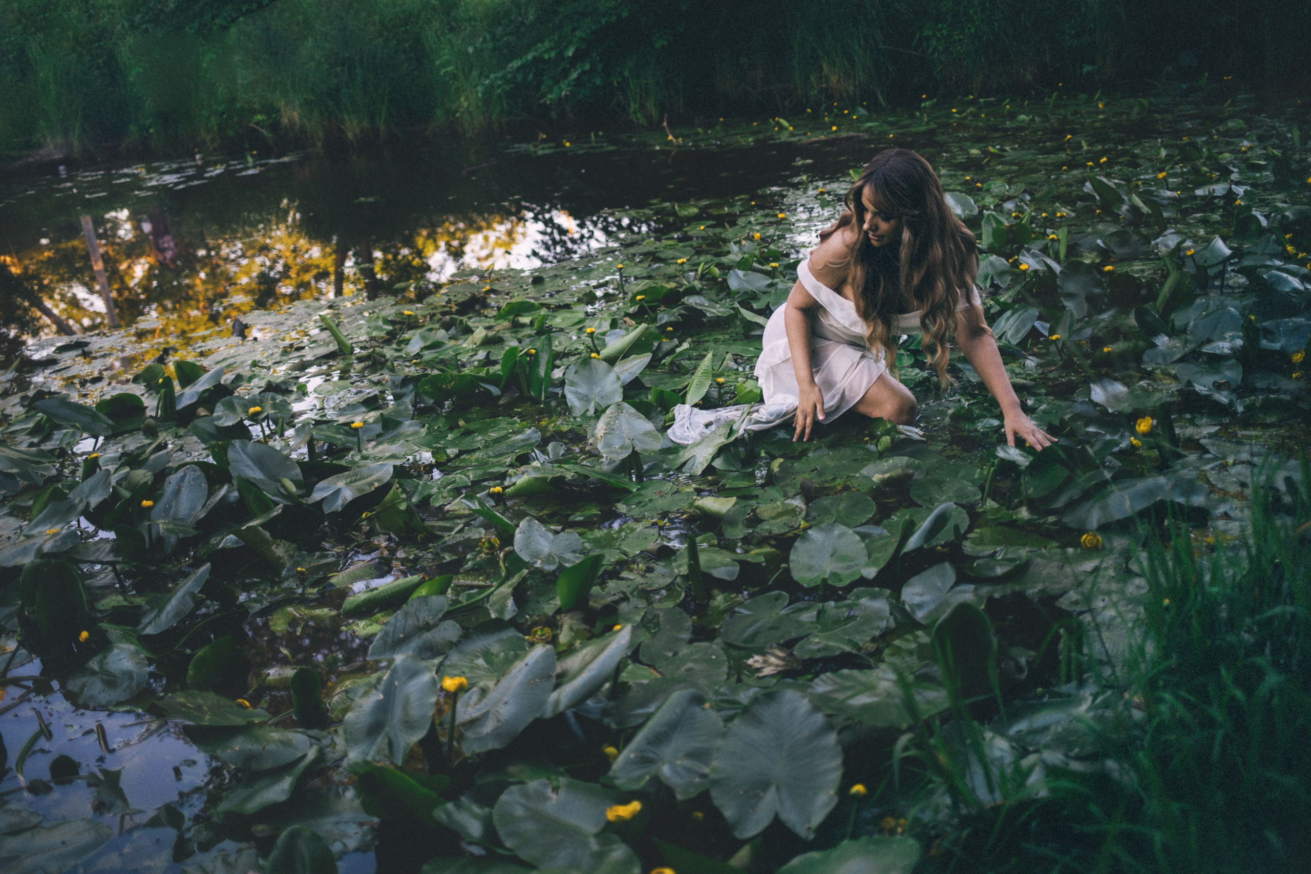 «Water lilies» 2024. Фотограф Наталья Шпиллер Санкт-Петербург
