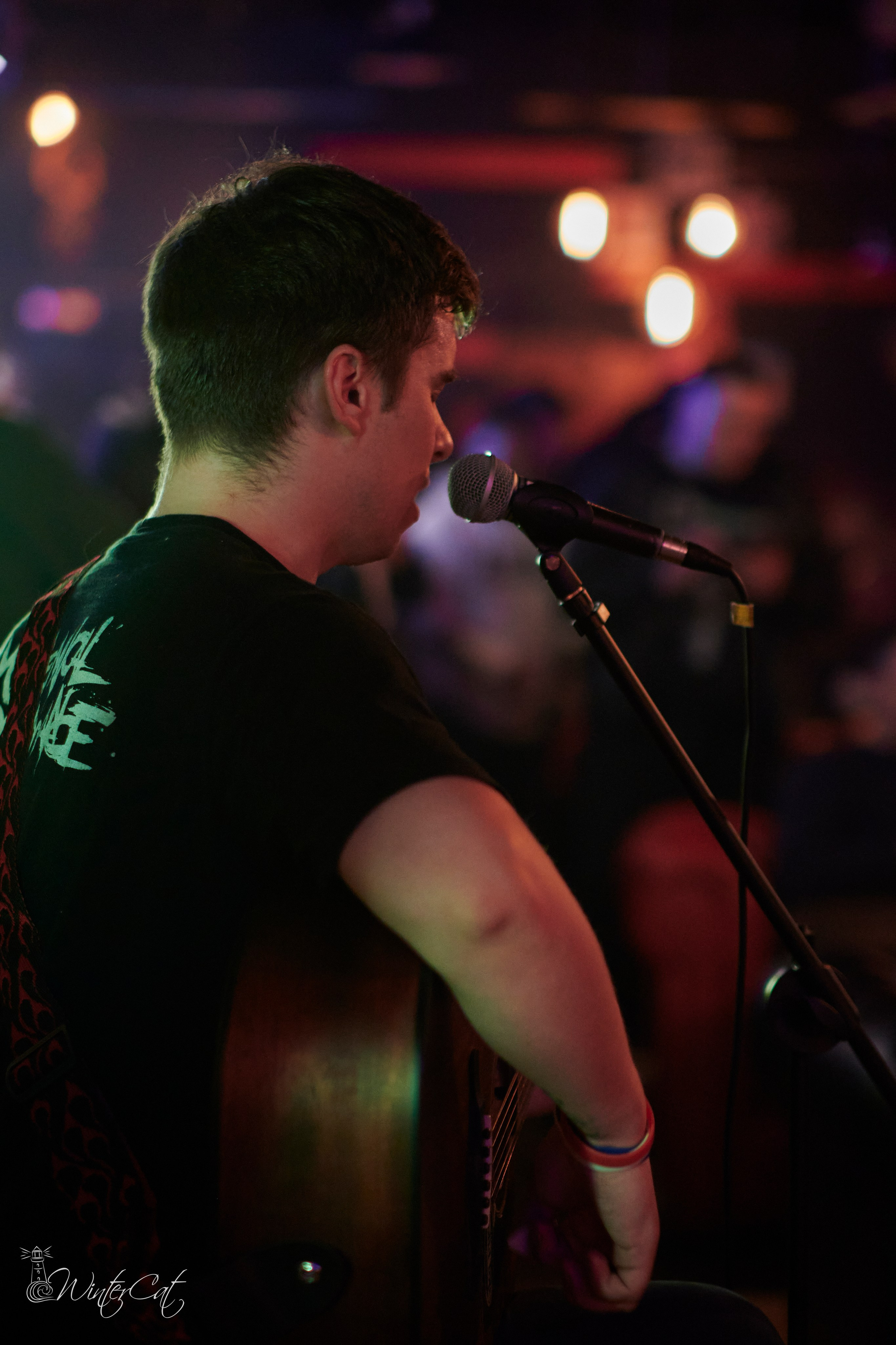 День Рождения Честер Четыре Года. Портретный и репортажный фотограф в Магадане Андрей Нефедов WinterCatPhoto