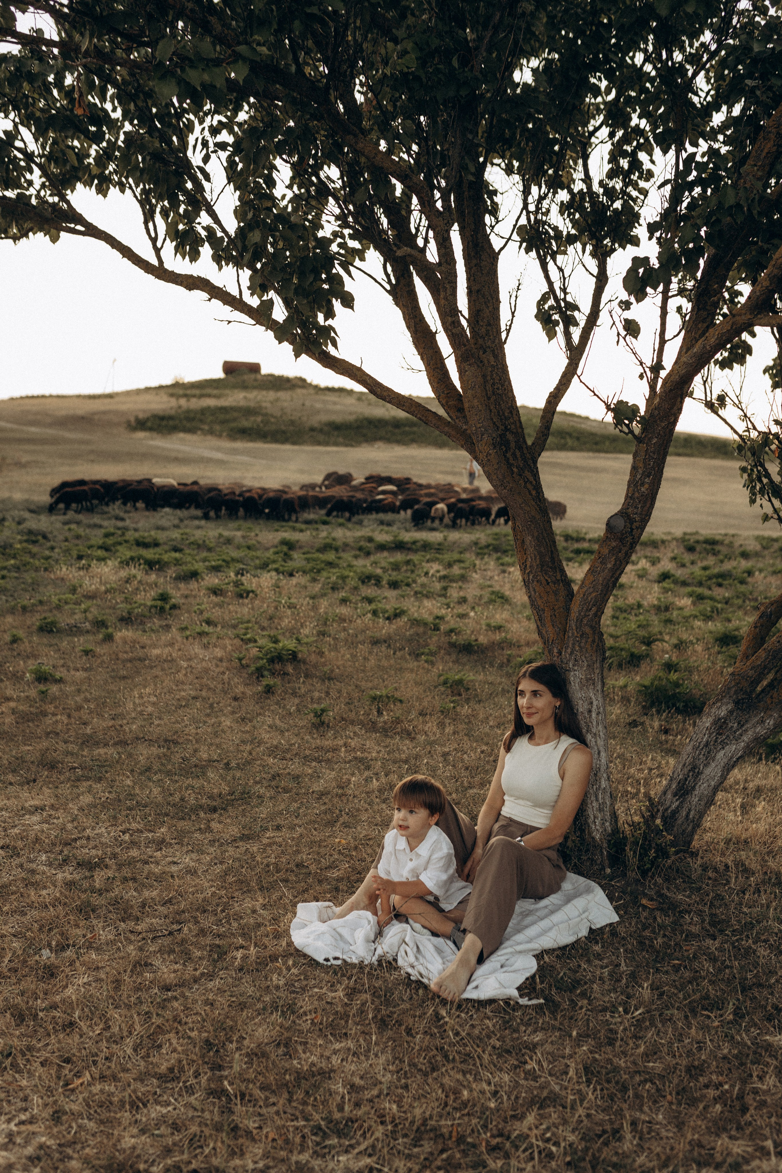 Миша Таня и Лев на ферме. Семейный фотограф в Новороссийске и Анапе Александра Яковлева