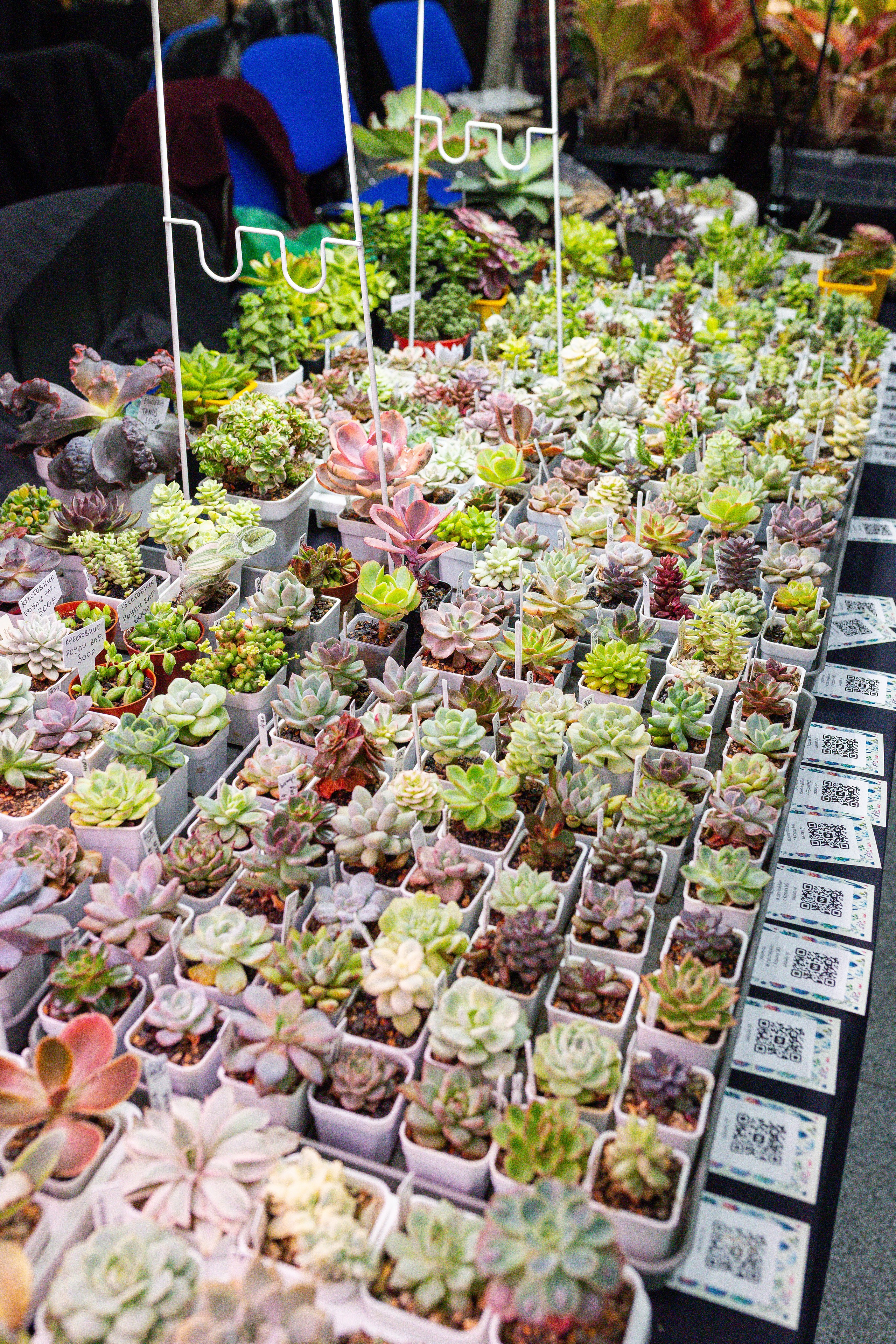 Монстериум 11–12 октября. Александра Куликова фотограф, Москва