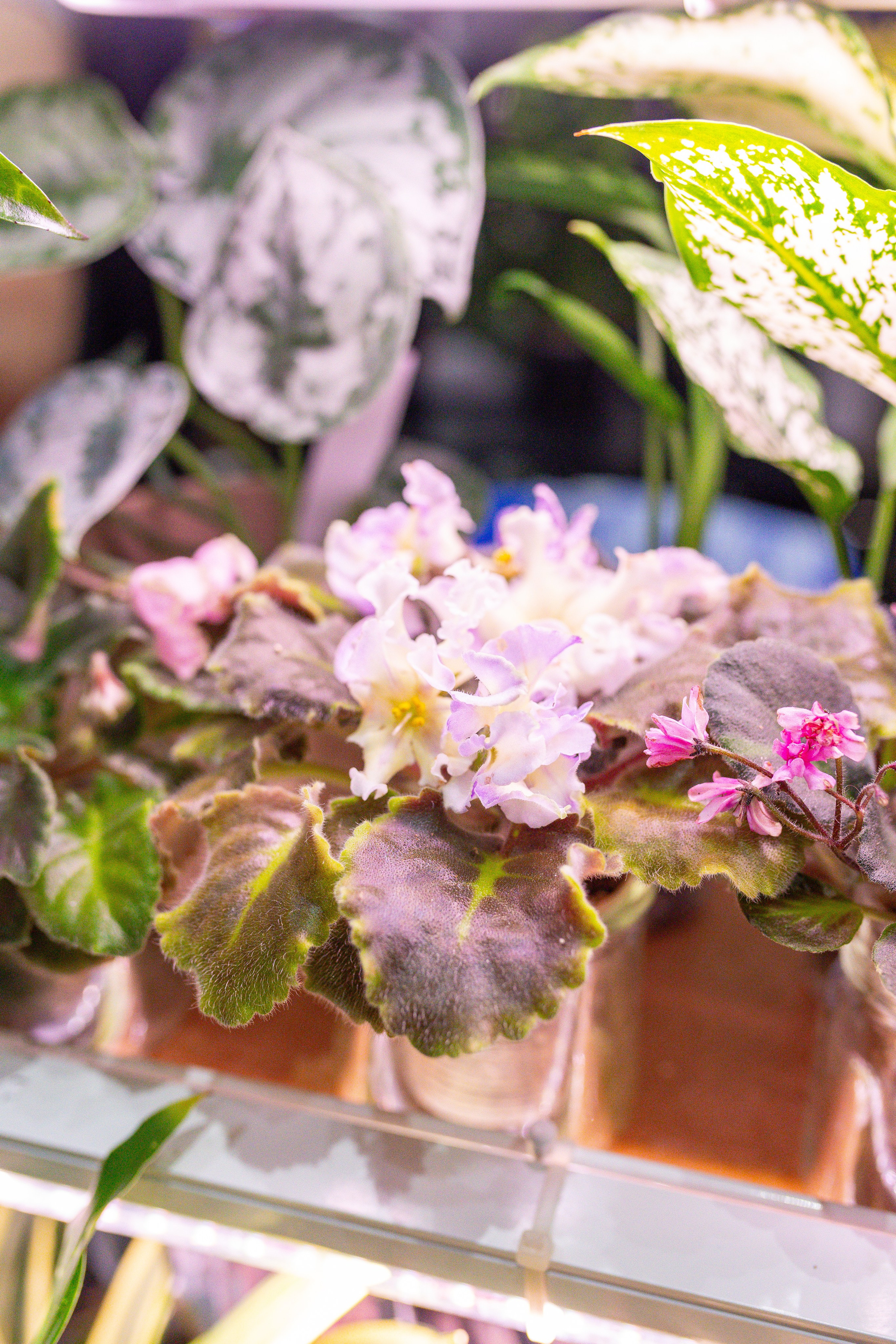 Монстериум 11–12 октября. Александра Куликова фотограф, Москва