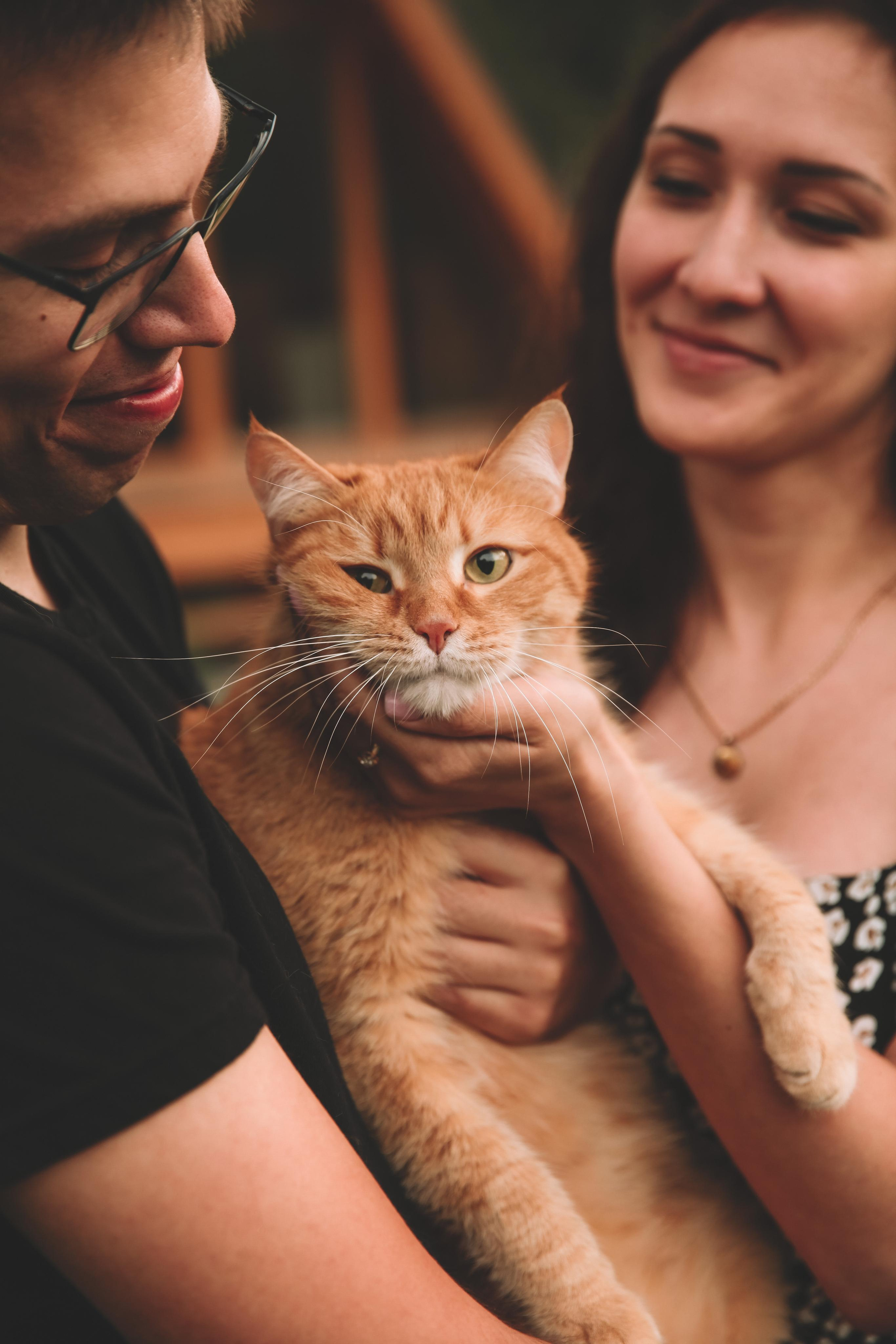 Татьяна и Вячеслав. Семейный фотограф в Екатеринбурге и Красноуфимске Евгения Лягаева