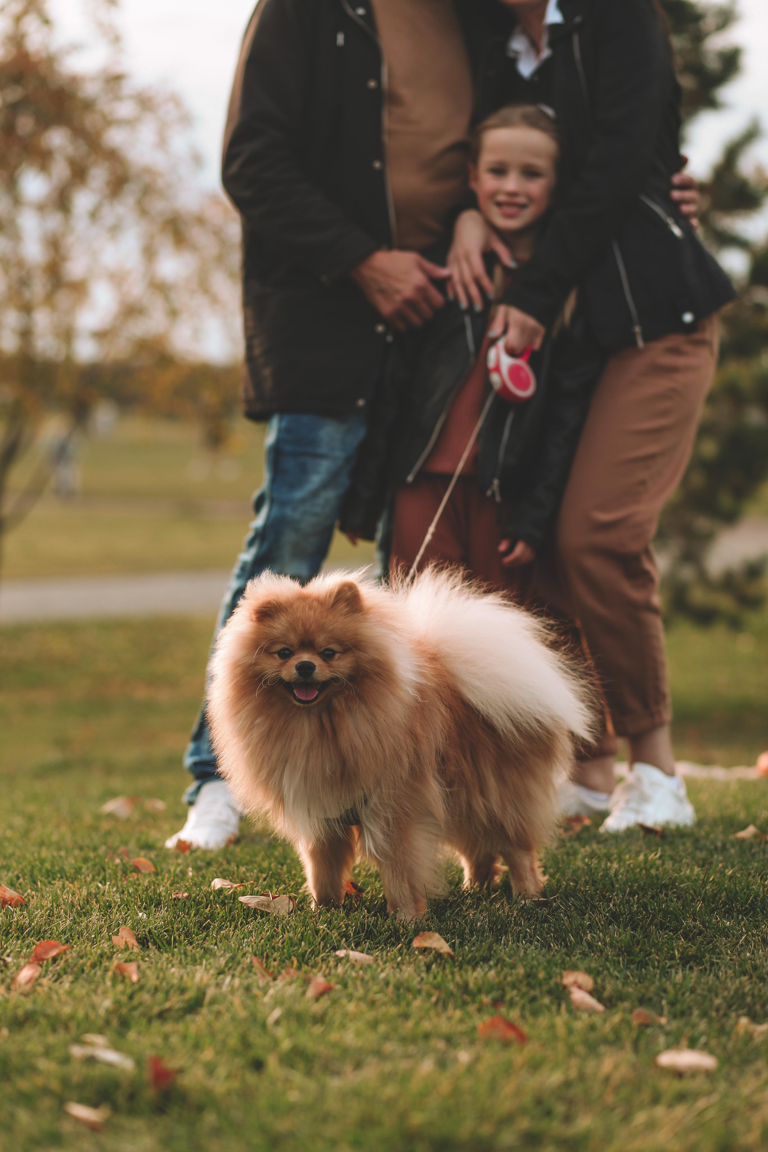 Владимир, Ульяна, Мирослава. Семейный фотограф в Екатеринбурге и Красноуфимске Евгения Лягаева