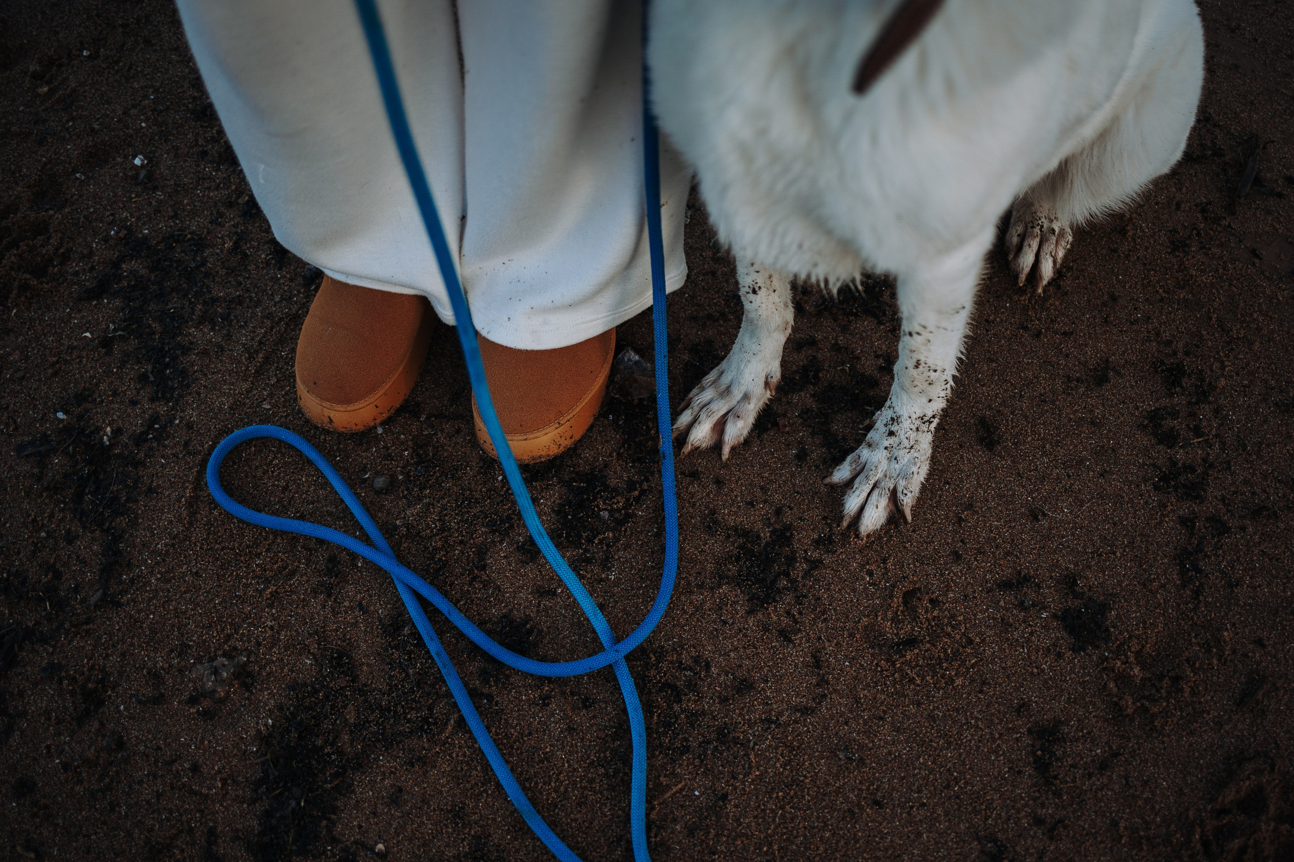 Настя и Эва. Фотограф — Анималист | Санкт-Петербург