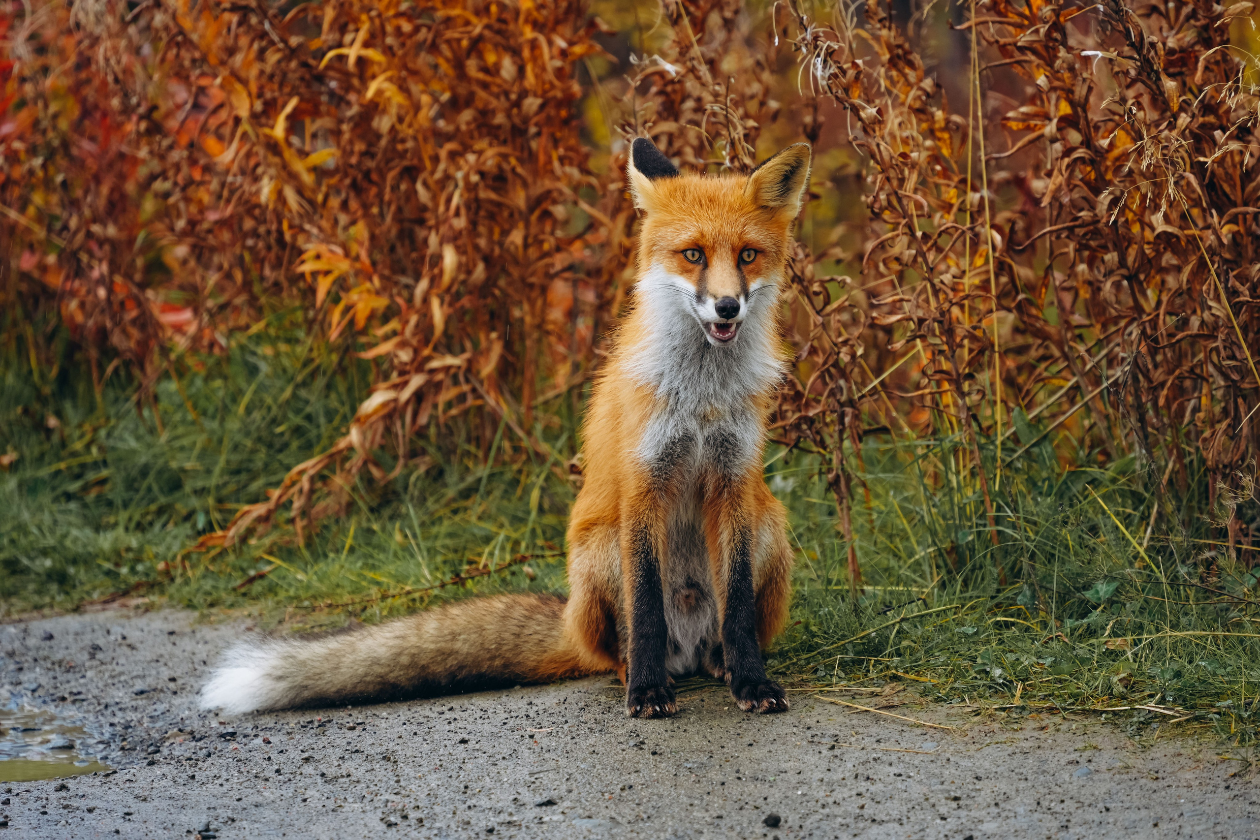 СЕВЕР. Event фотограф Степанова Александра