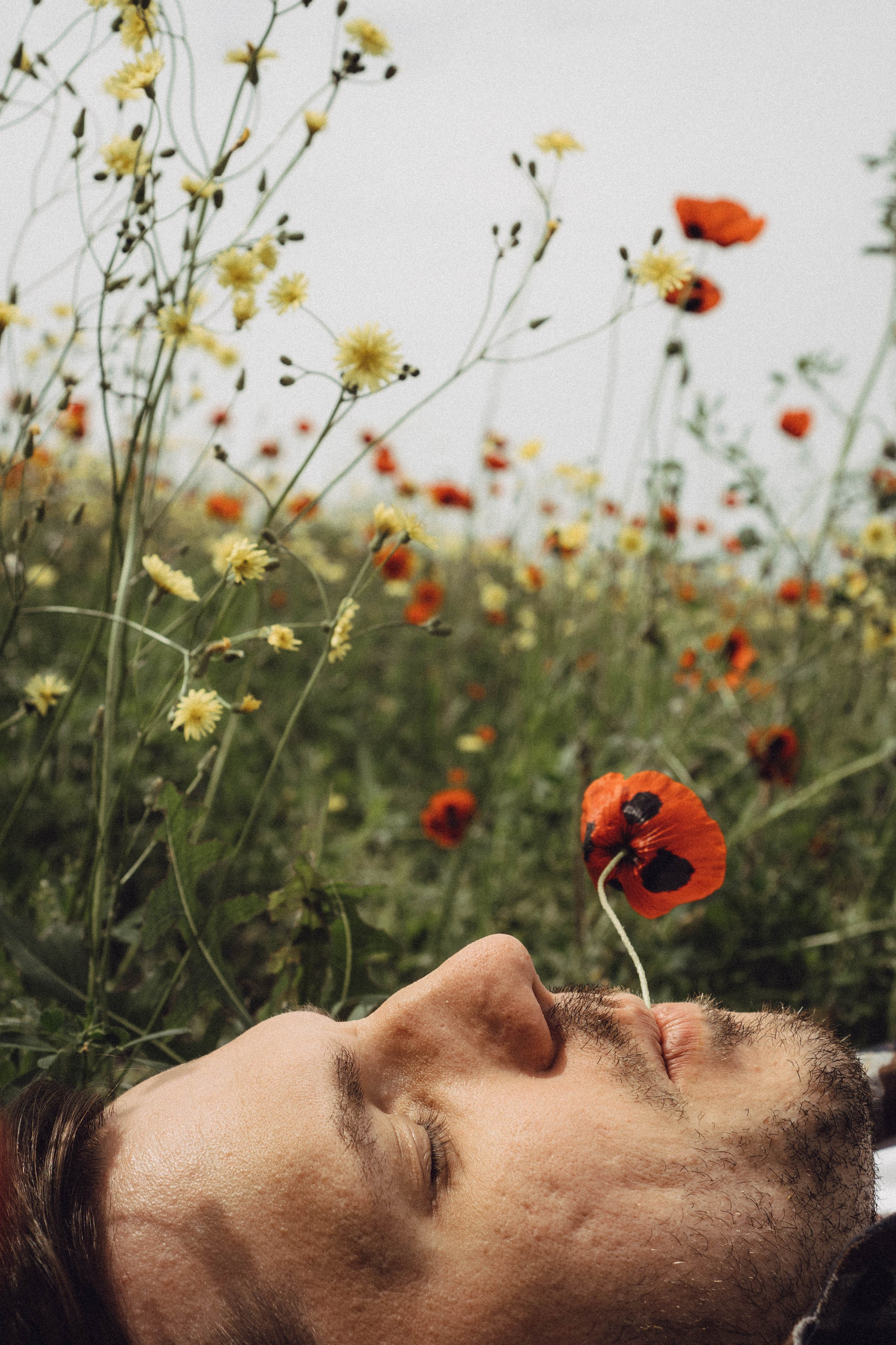 Маки. Профессиональный фотограф, Санкт-Петербург — Виктория Богомолова