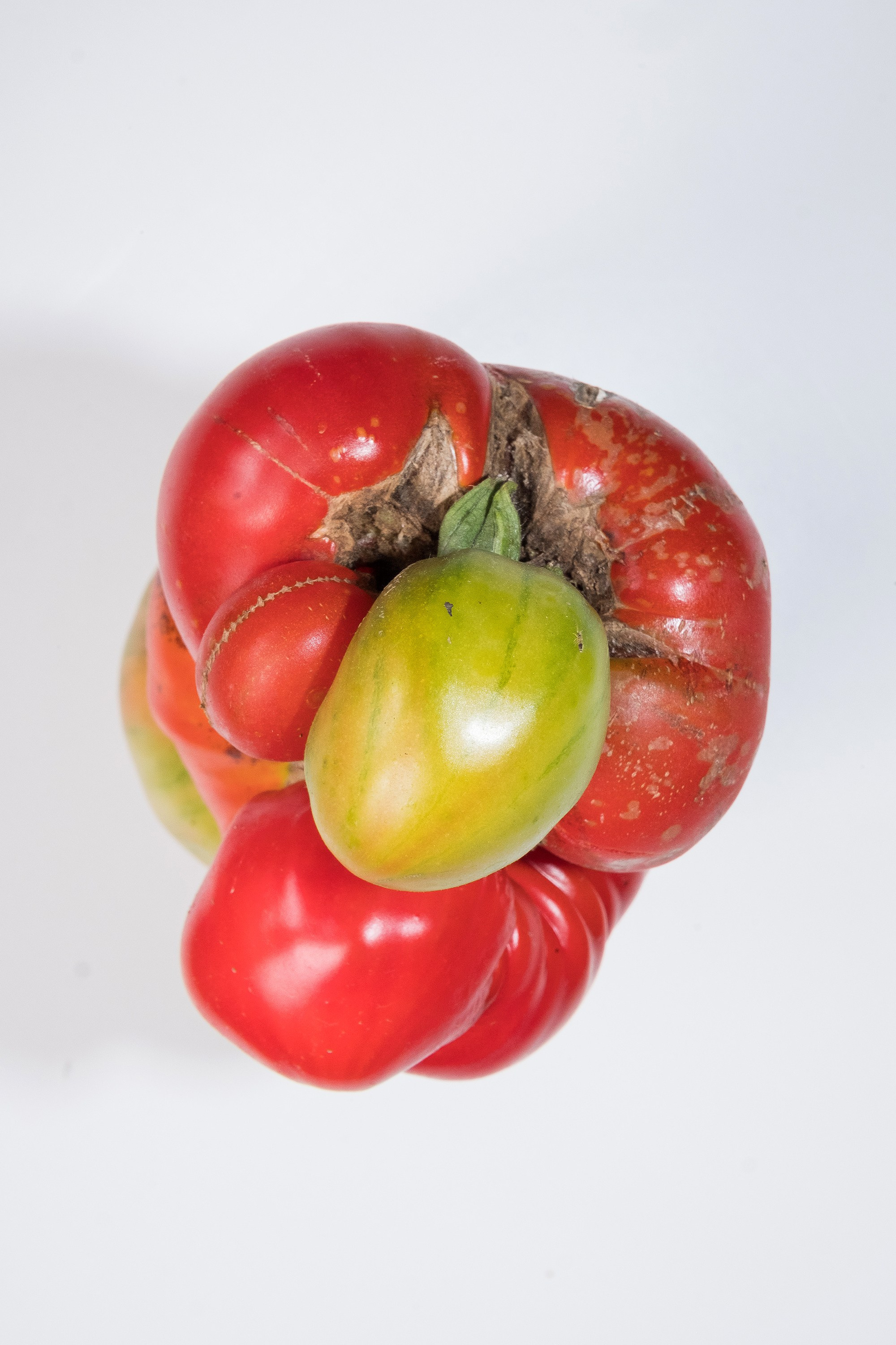 Still Lifes. Стас Понятовский