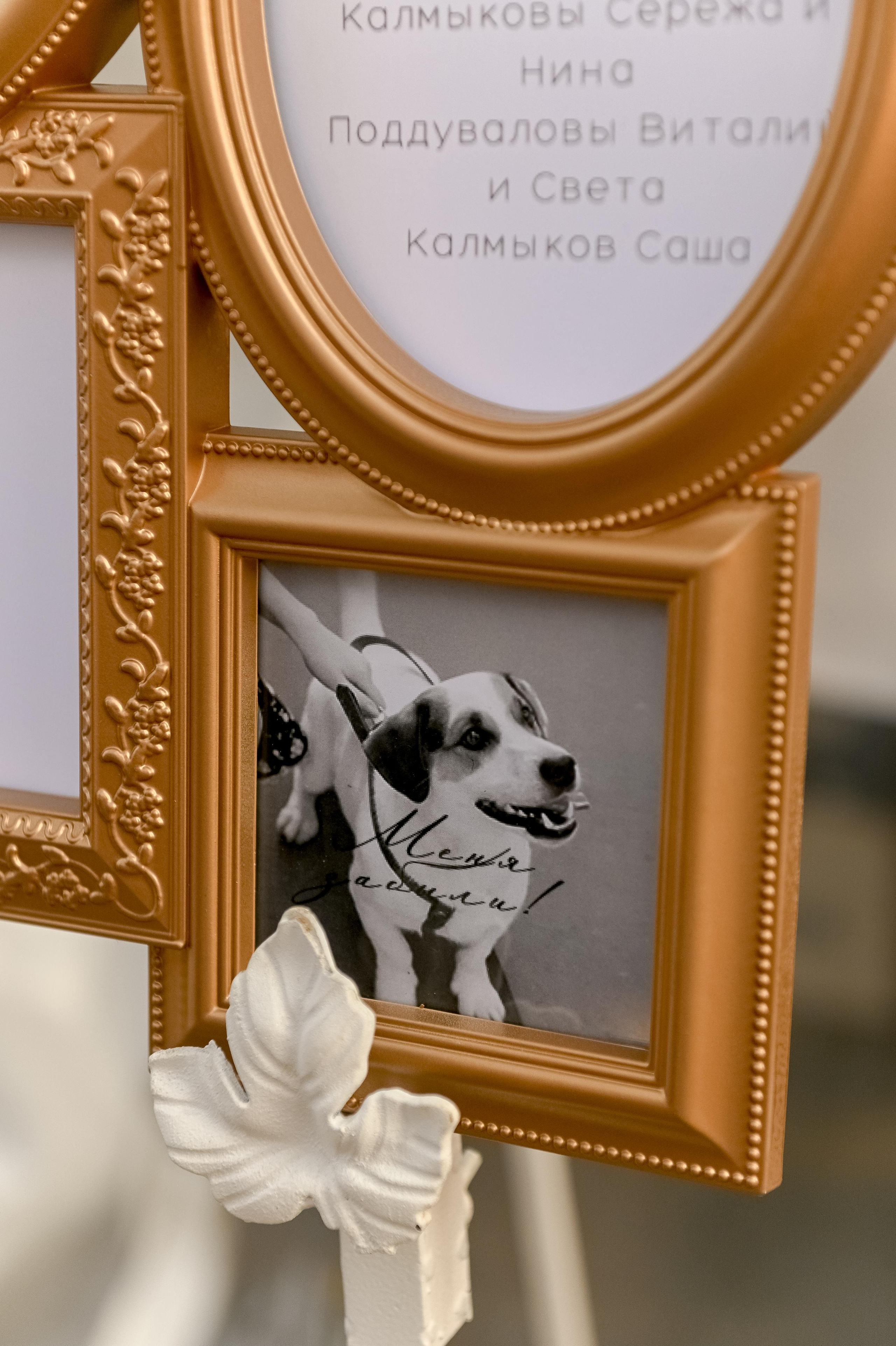 Ира и Юра. Площадка: Оленьи Пруды. Свадебный и семейный фотограф Ангелина Нусина