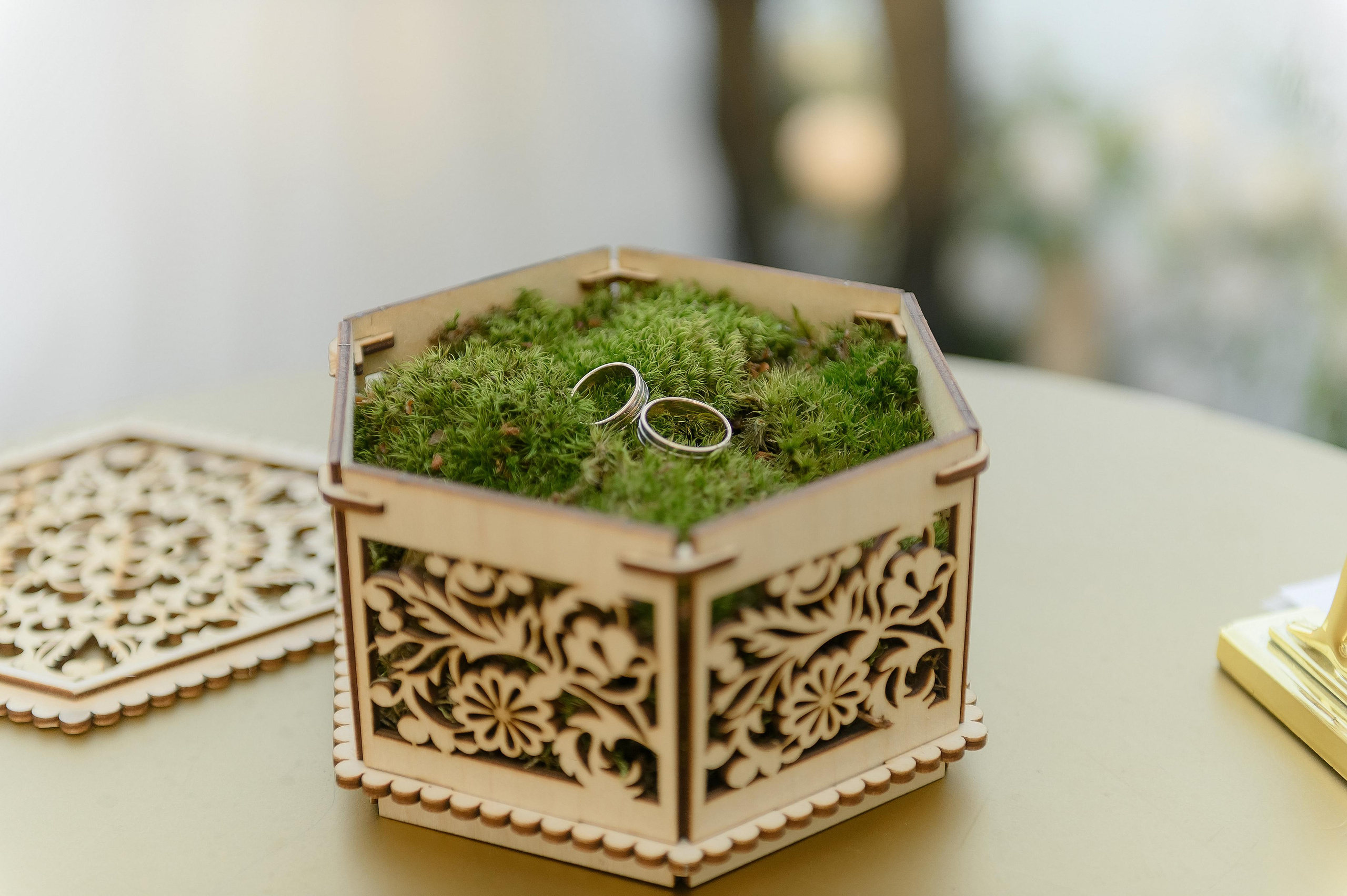 Ира и Юра. Площадка: Оленьи Пруды. Свадебный и семейный фотограф Ангелина Нусина